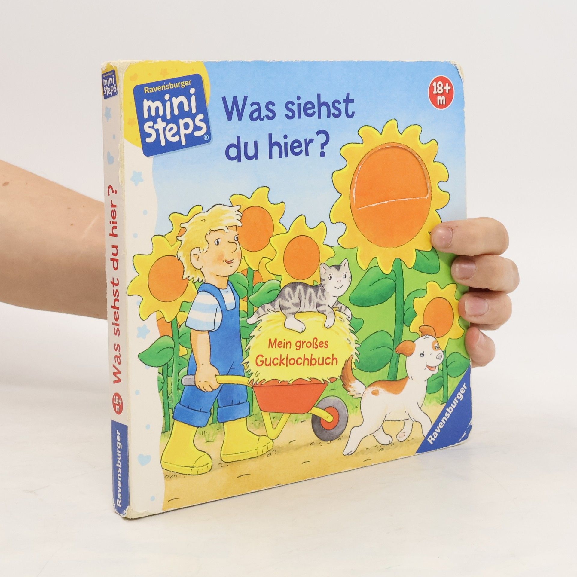 Klaus Bliesener Was siehst du hier?