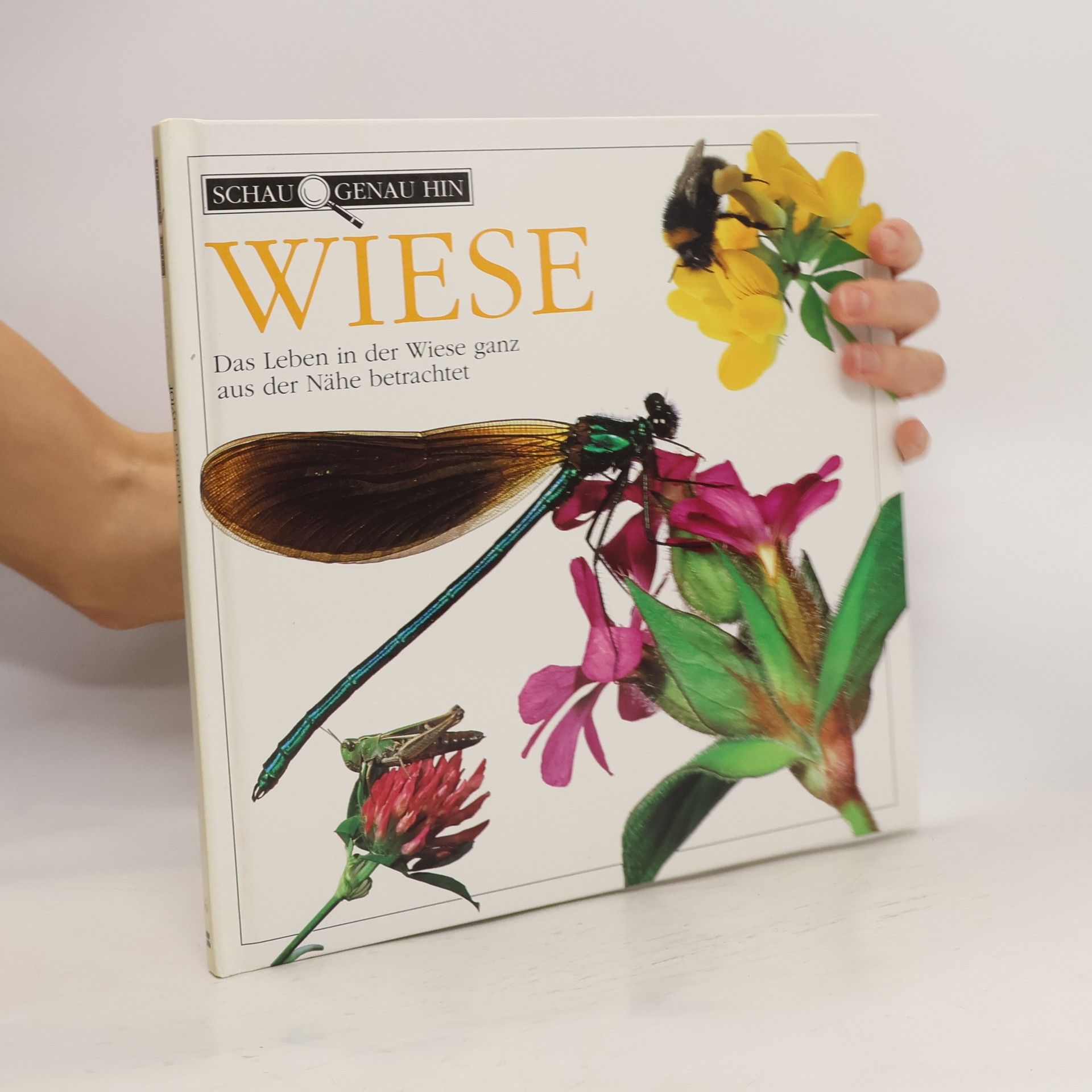 Barbara Taylor Bradford Wiese. Das Leben in der Wiese ganz aus der Nähe betrachtet