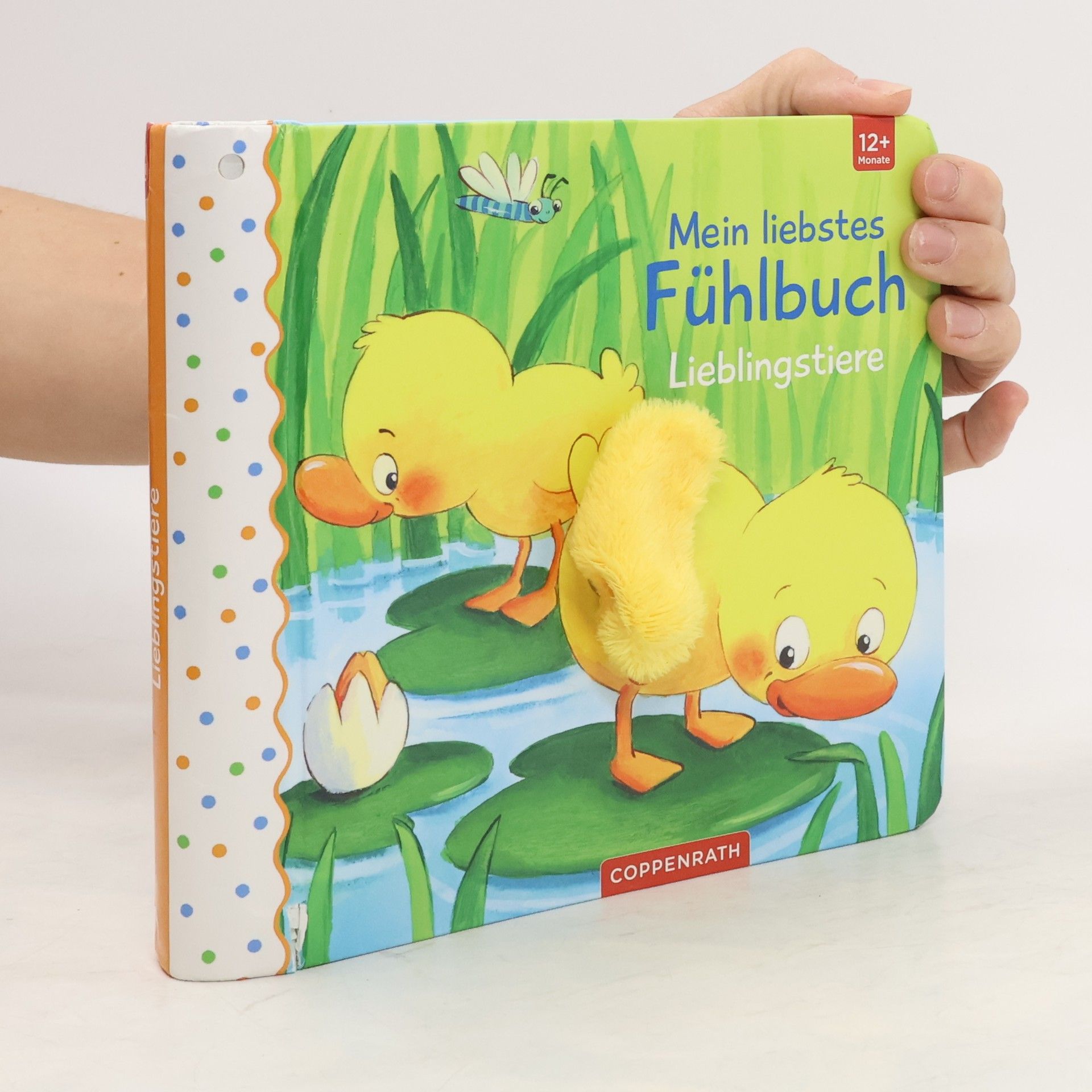 Sabine Kraushaar Mein liebstes Fühlbuch: Lieblingstiere