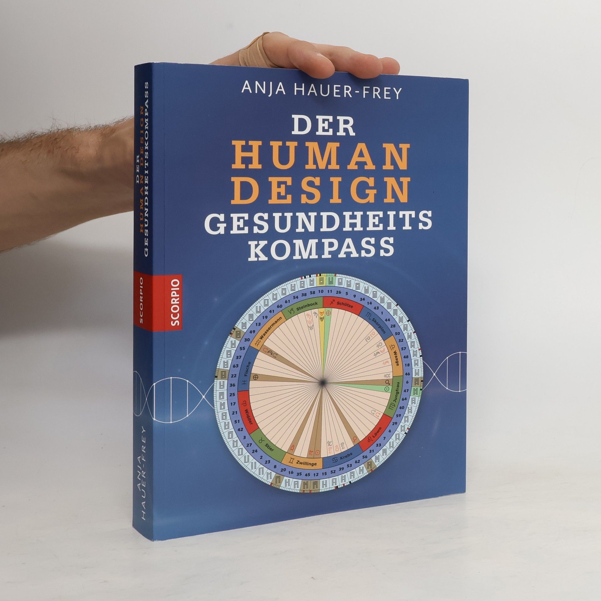 Anja Hauer-Frey Der Human Design Gesundheitskompass