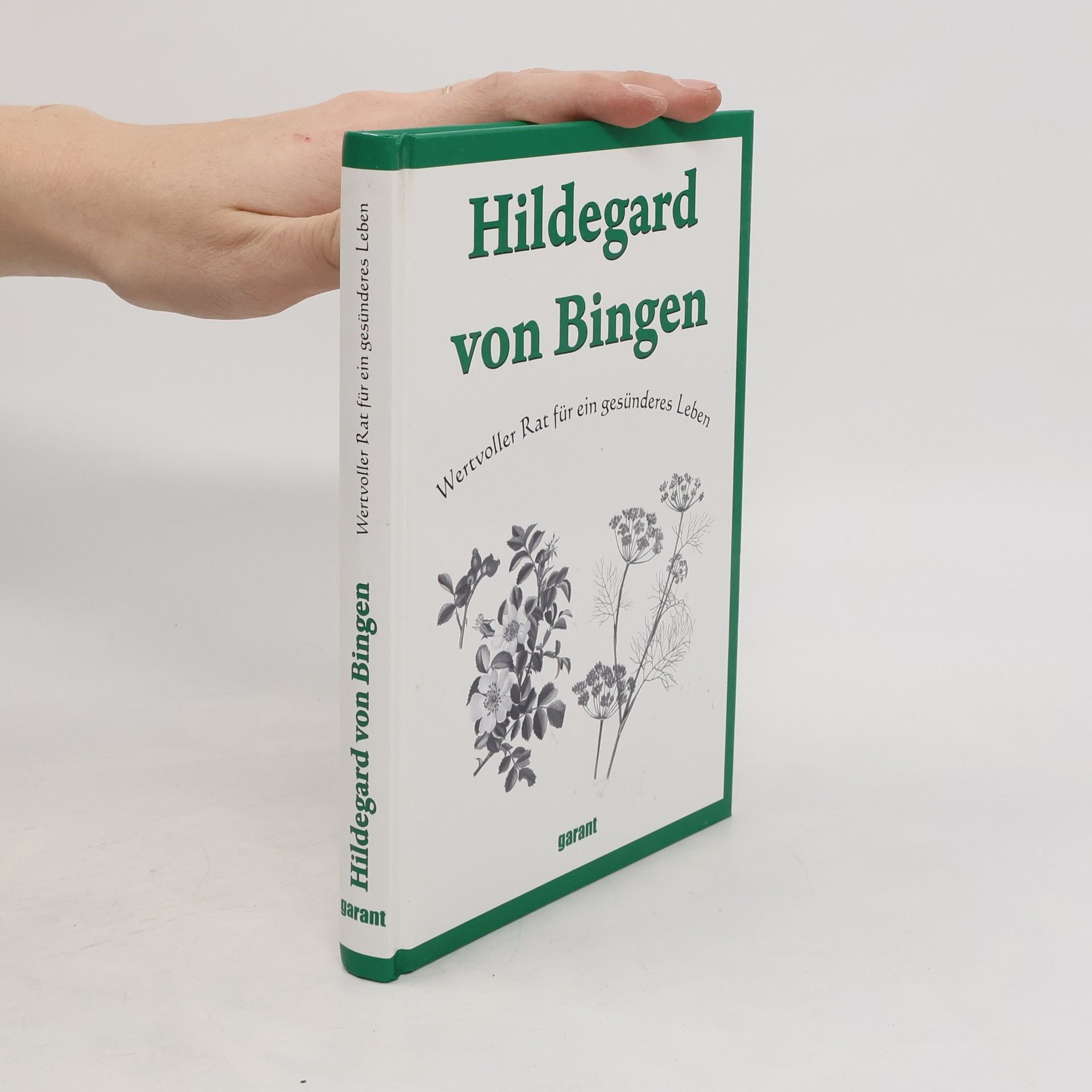 Hildegarda z Bingenu Hildegard von Bingen