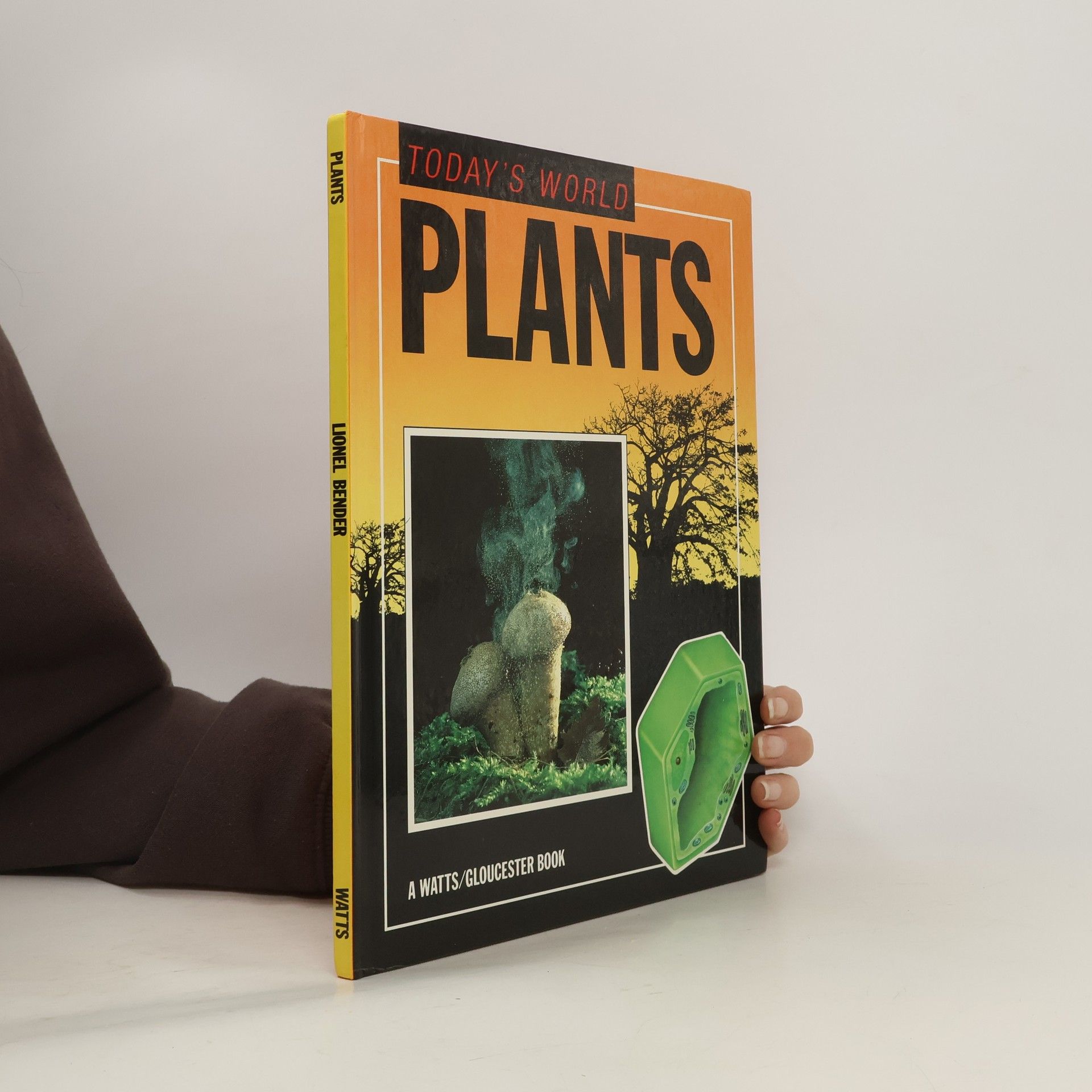 Collectif d'auteurs Plants