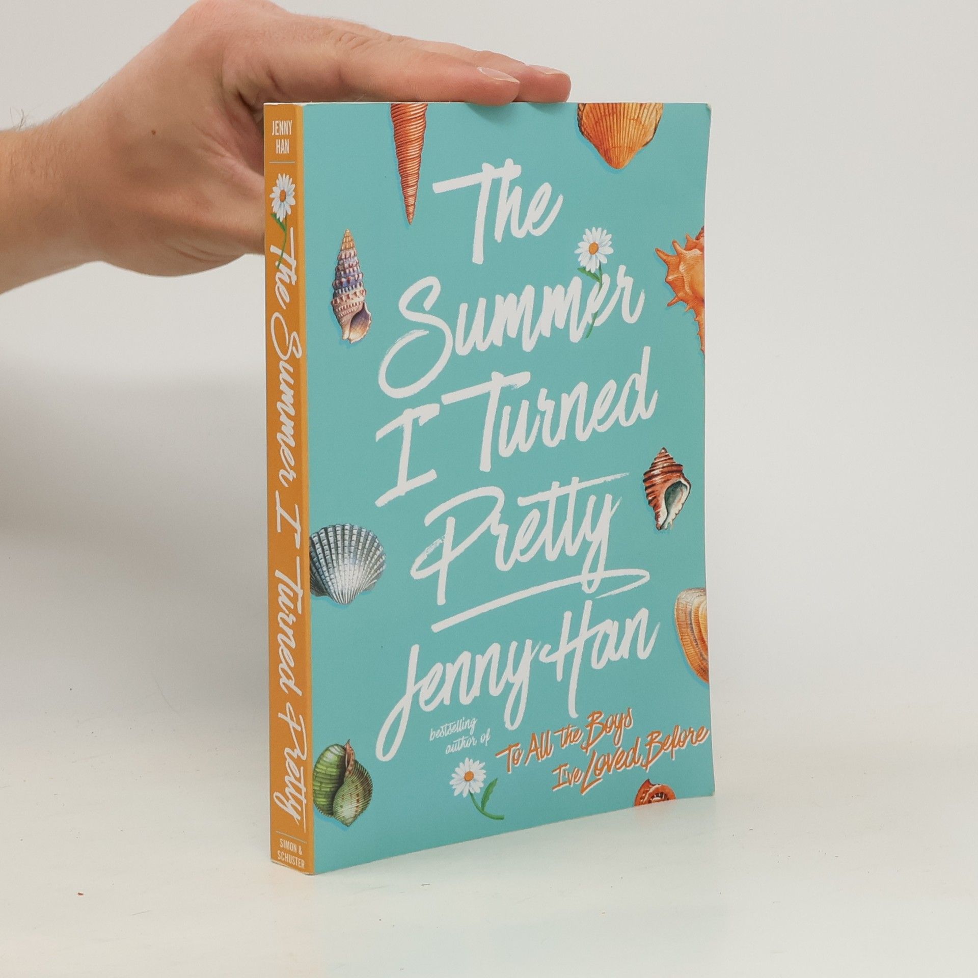 Jenny Han The Summer I Turned Pretty