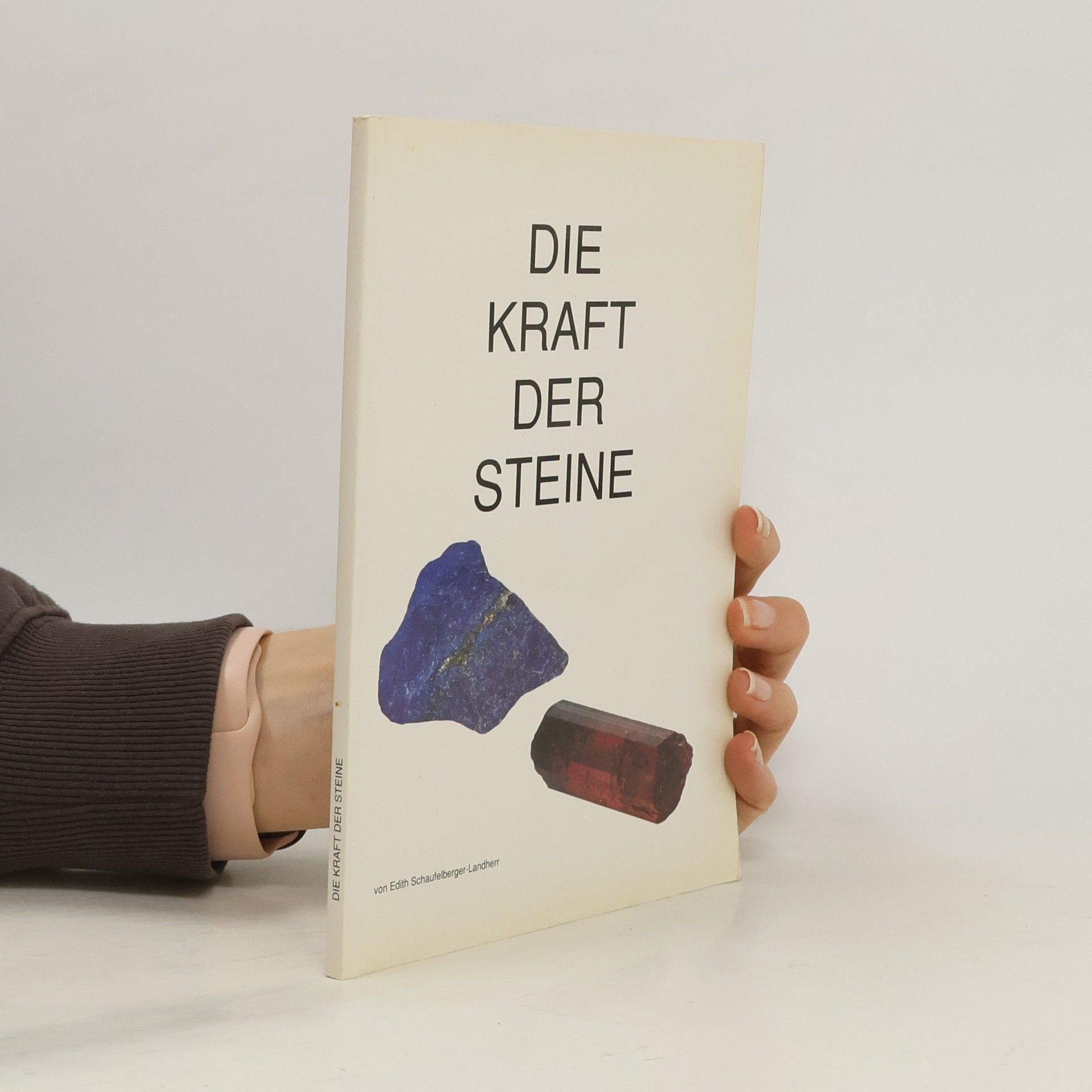 Martina Bochnik Der Stein in euch