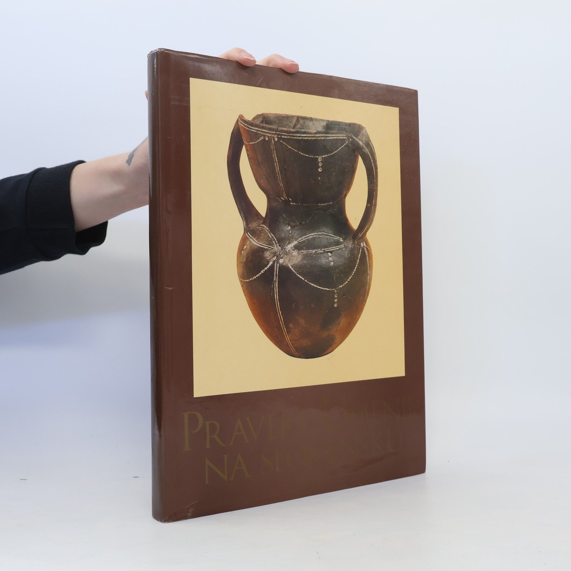 Kolektív autorov Praveké umenie na Slovensku