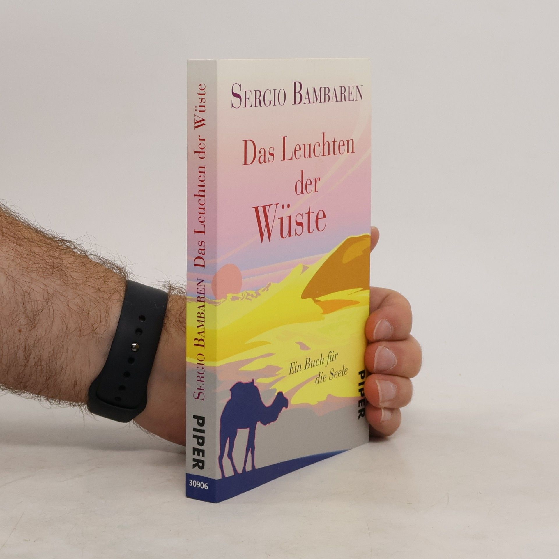 Sergio Bambaren Das Leuchten der Wüste