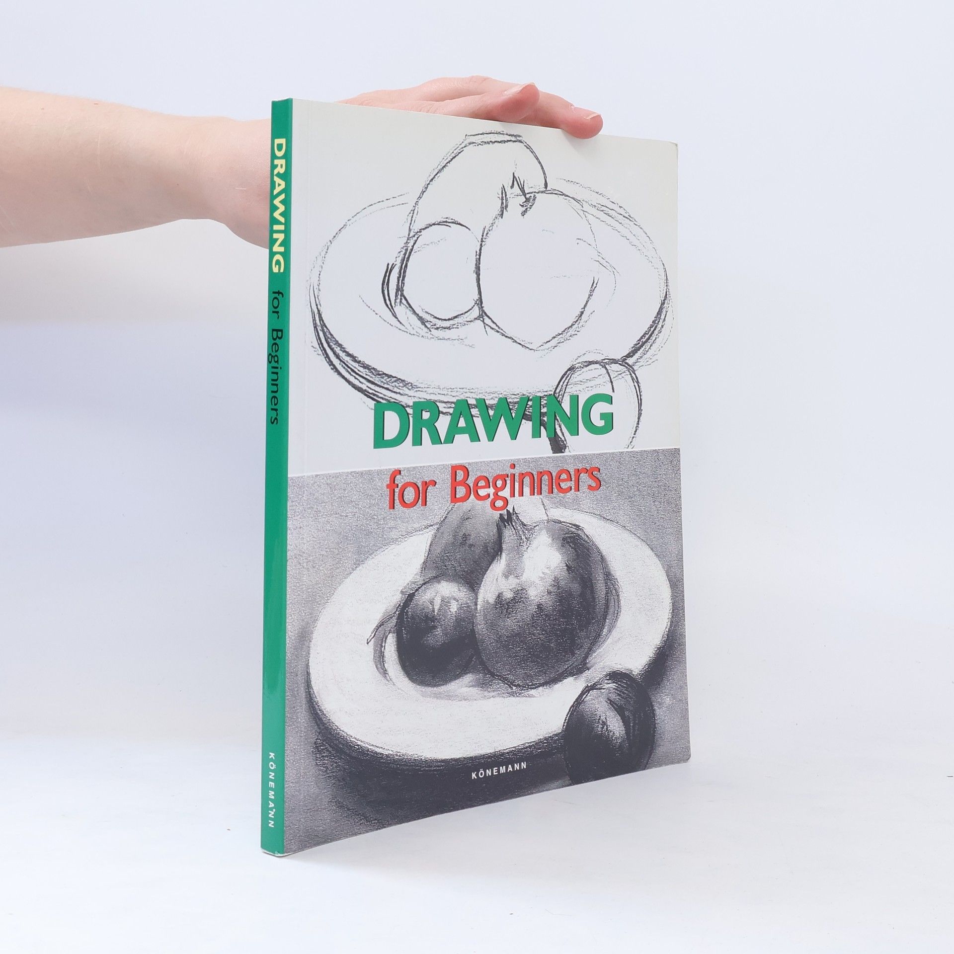 Francisco Asensio Cerver Drawing for Beginners
