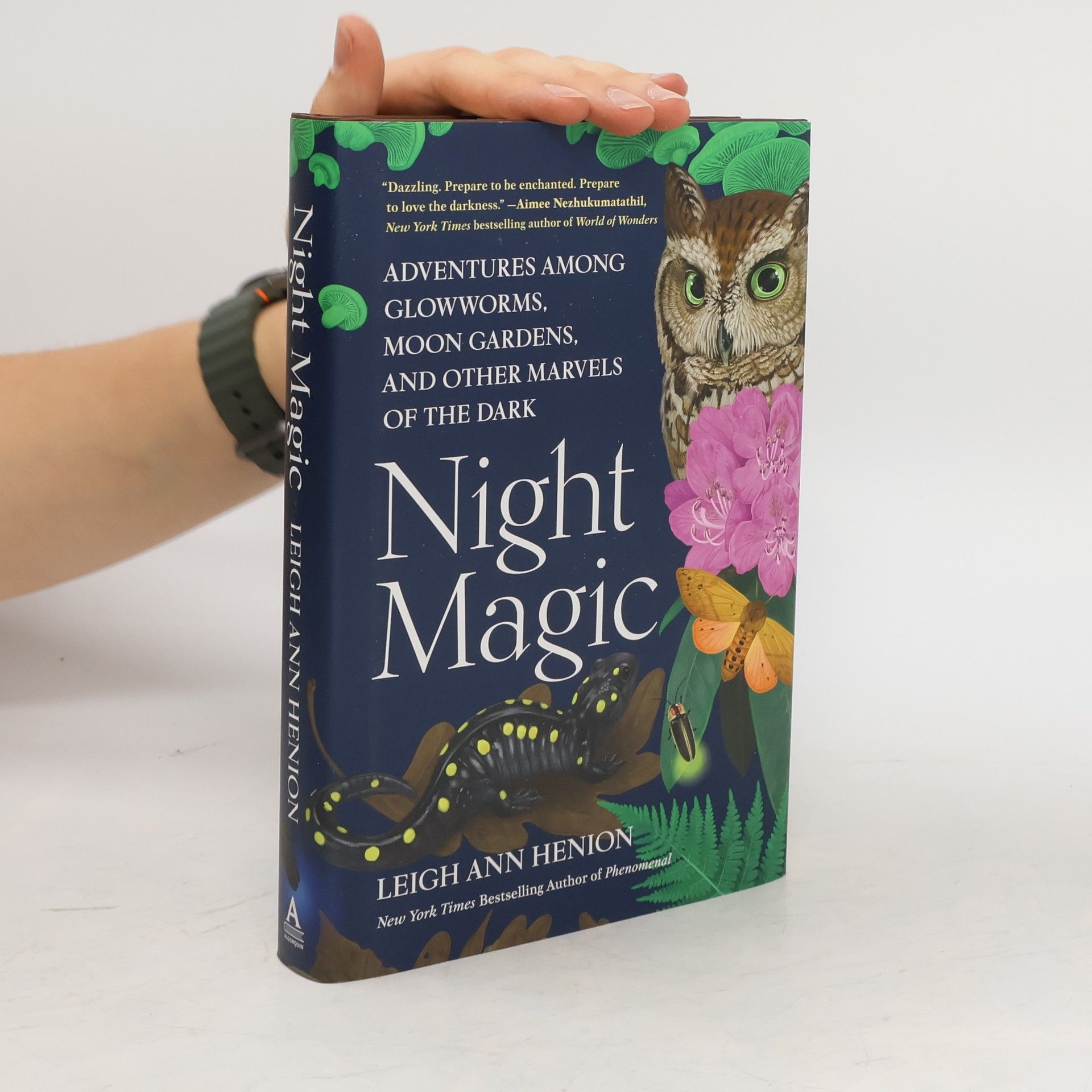Leigh Ann Henion Night Magic