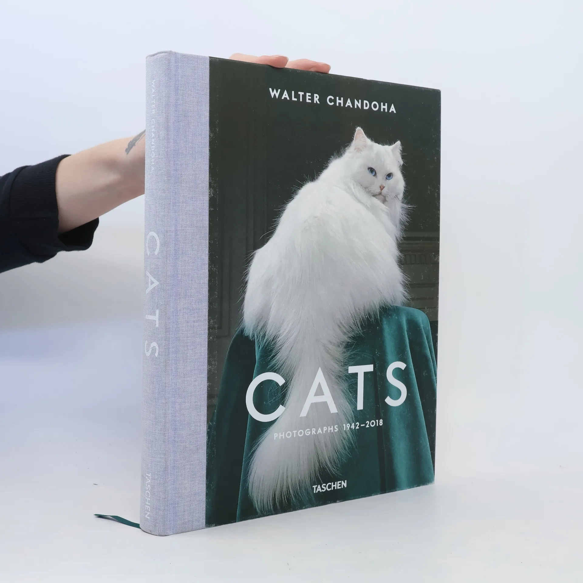 Cats | Book | Walter Chandoha | DE