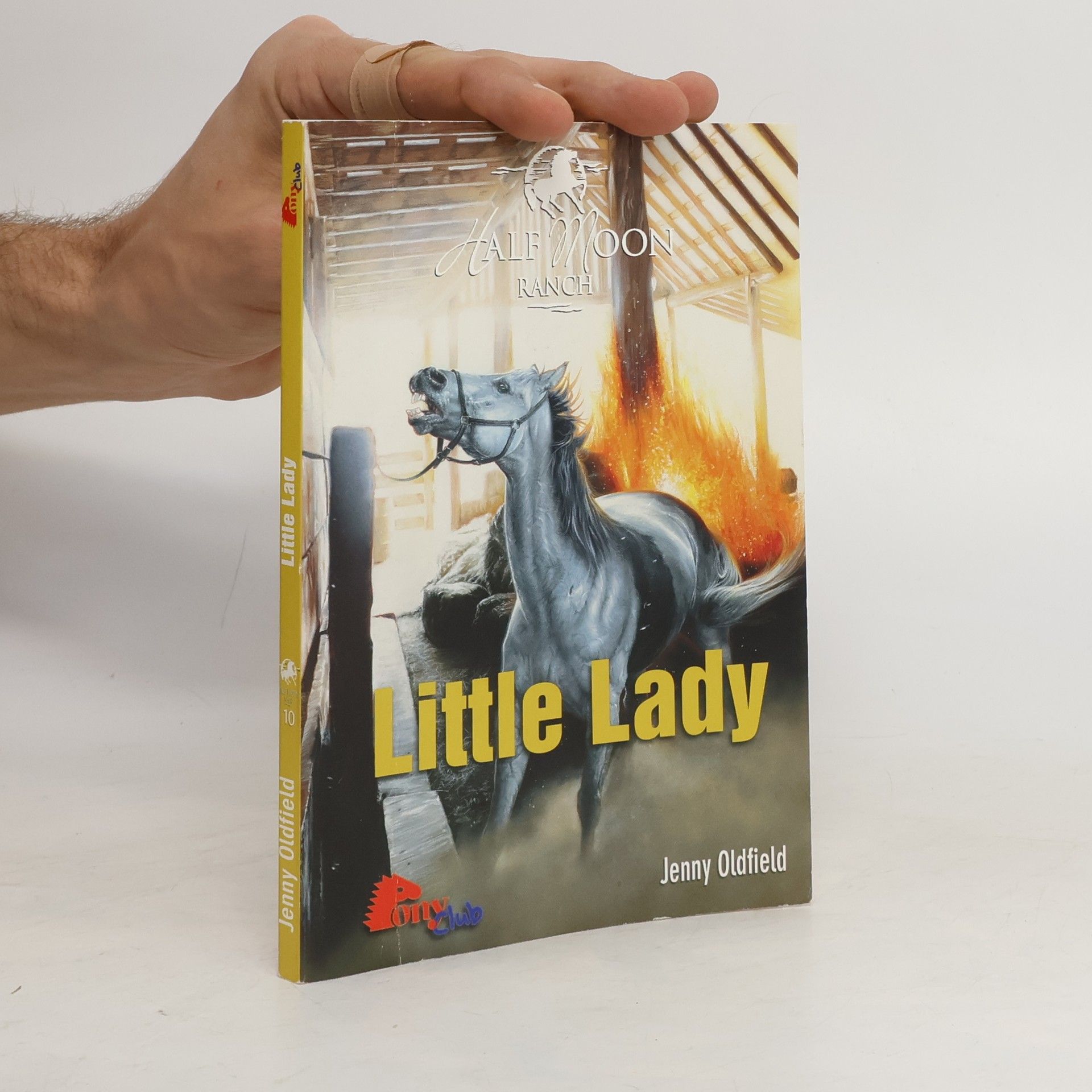 Jenny Oldfield Half Moon Ranch. Little Lady