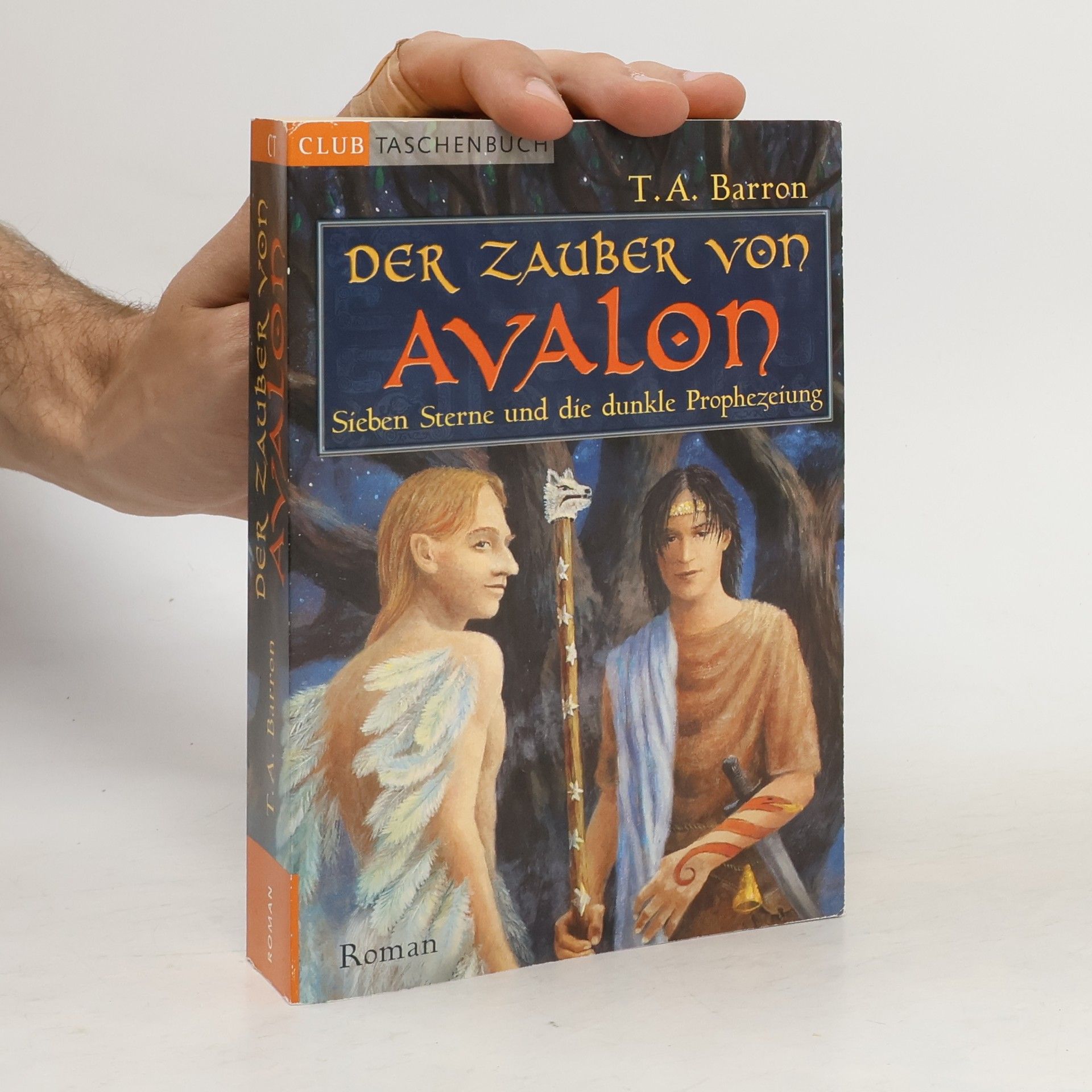T. A. Baron Der Zauber von Avalon I