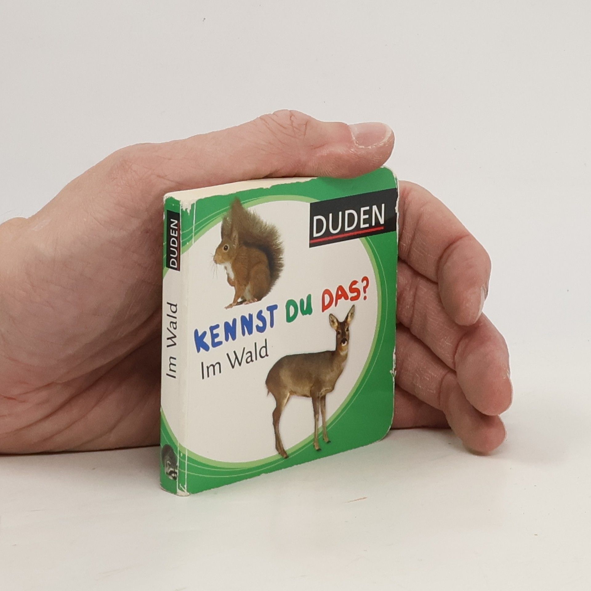 Autorenkollektiv Kennst du Das? Im Wald