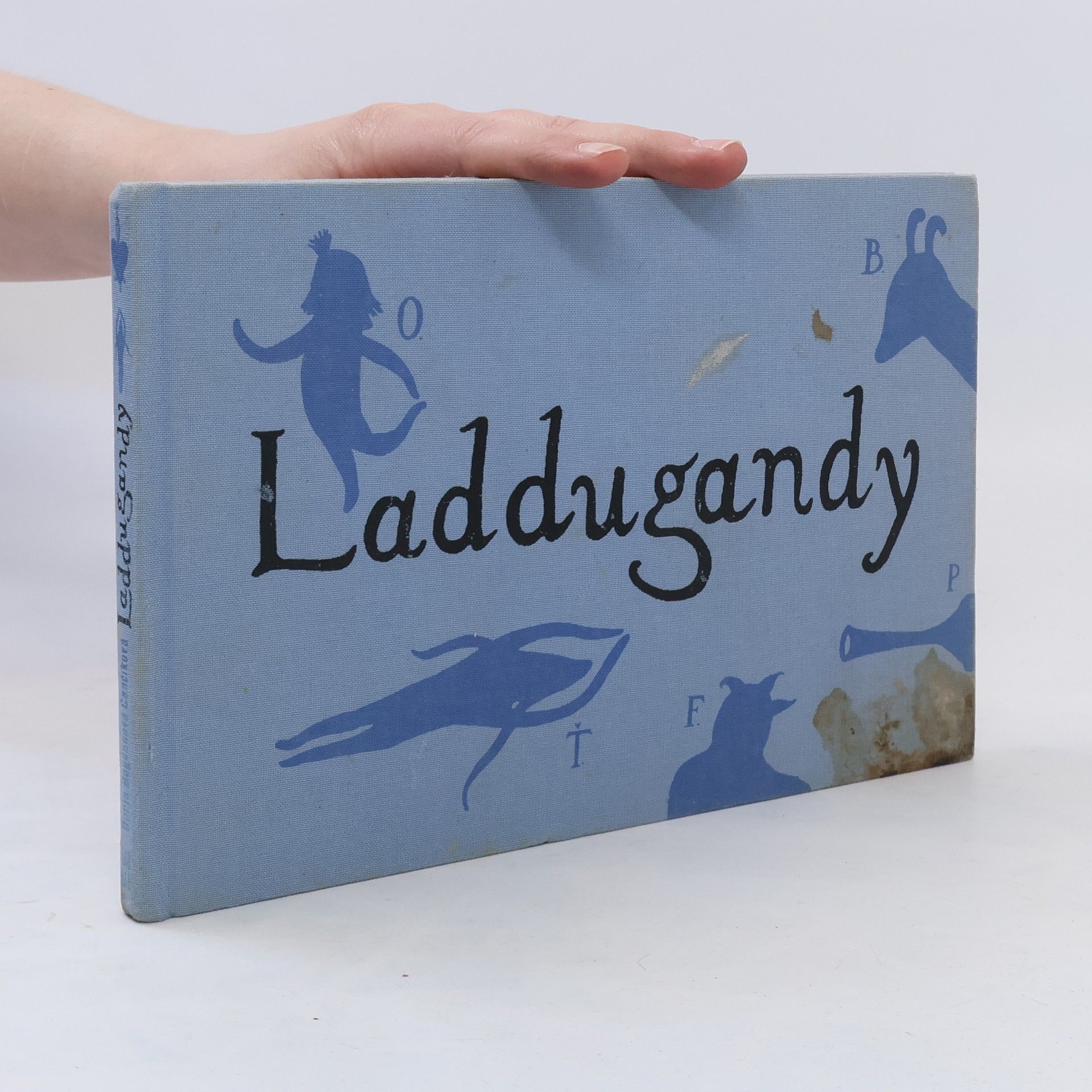 Darja Čančíková Laddugandy