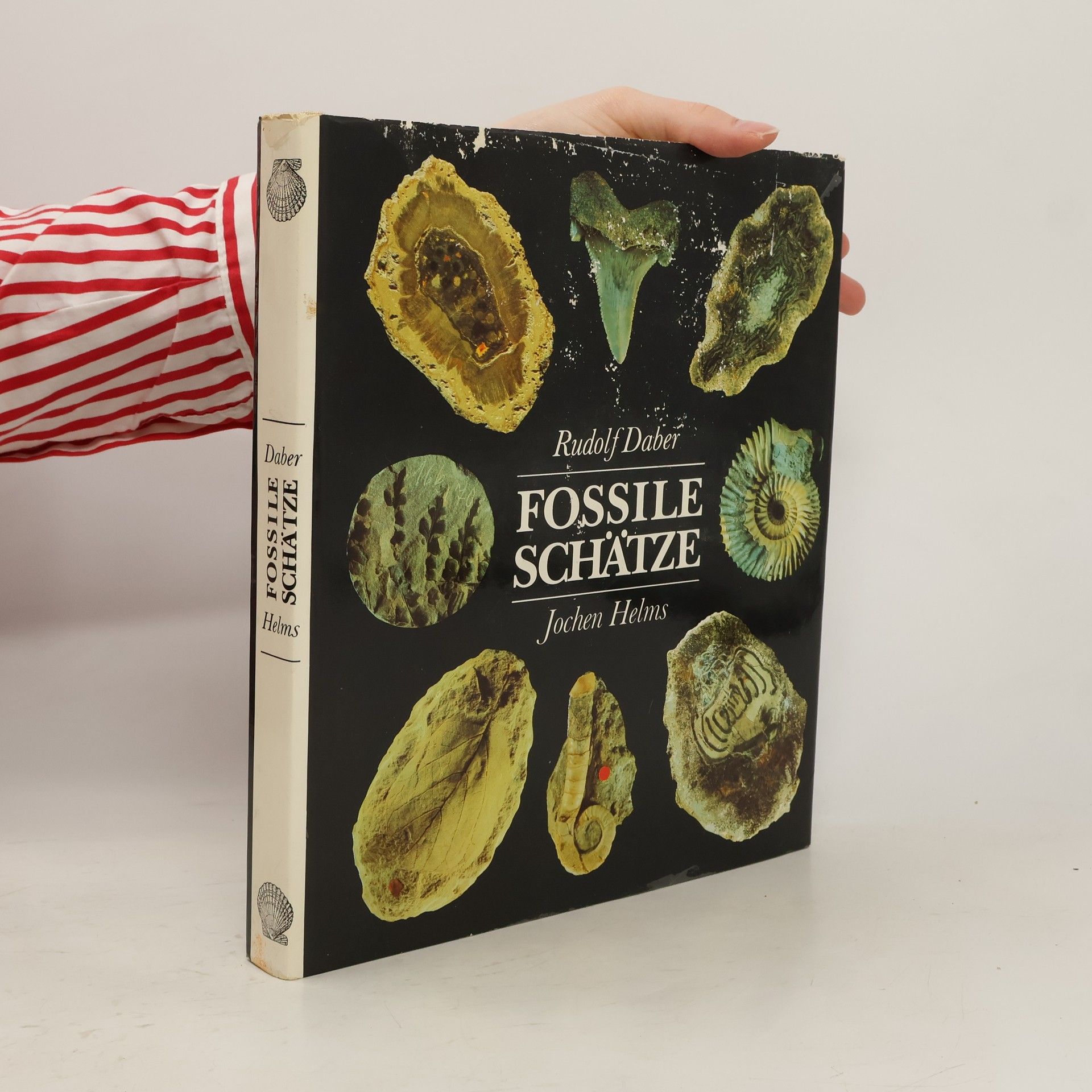 Rudolf Daber Fossile schätze