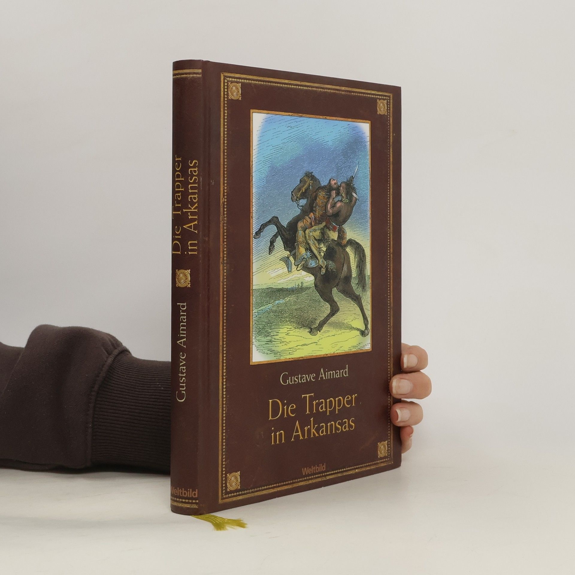 Gustave Aimard Die Trapper in Arkansas