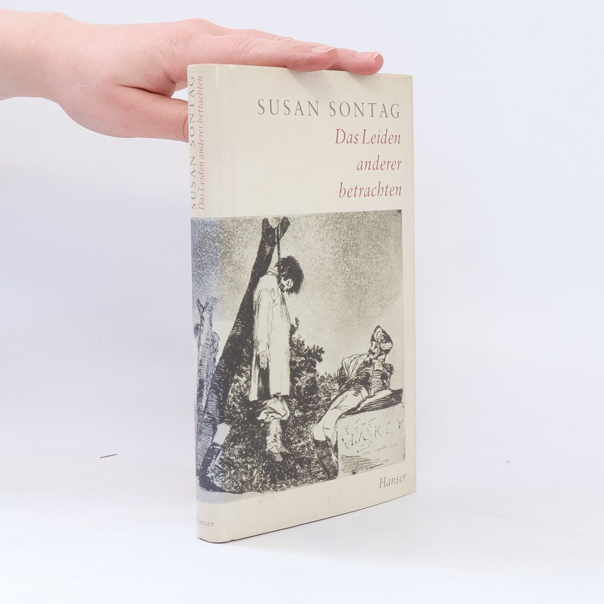 Susan Sontag Das Leiden anderer betrachten
