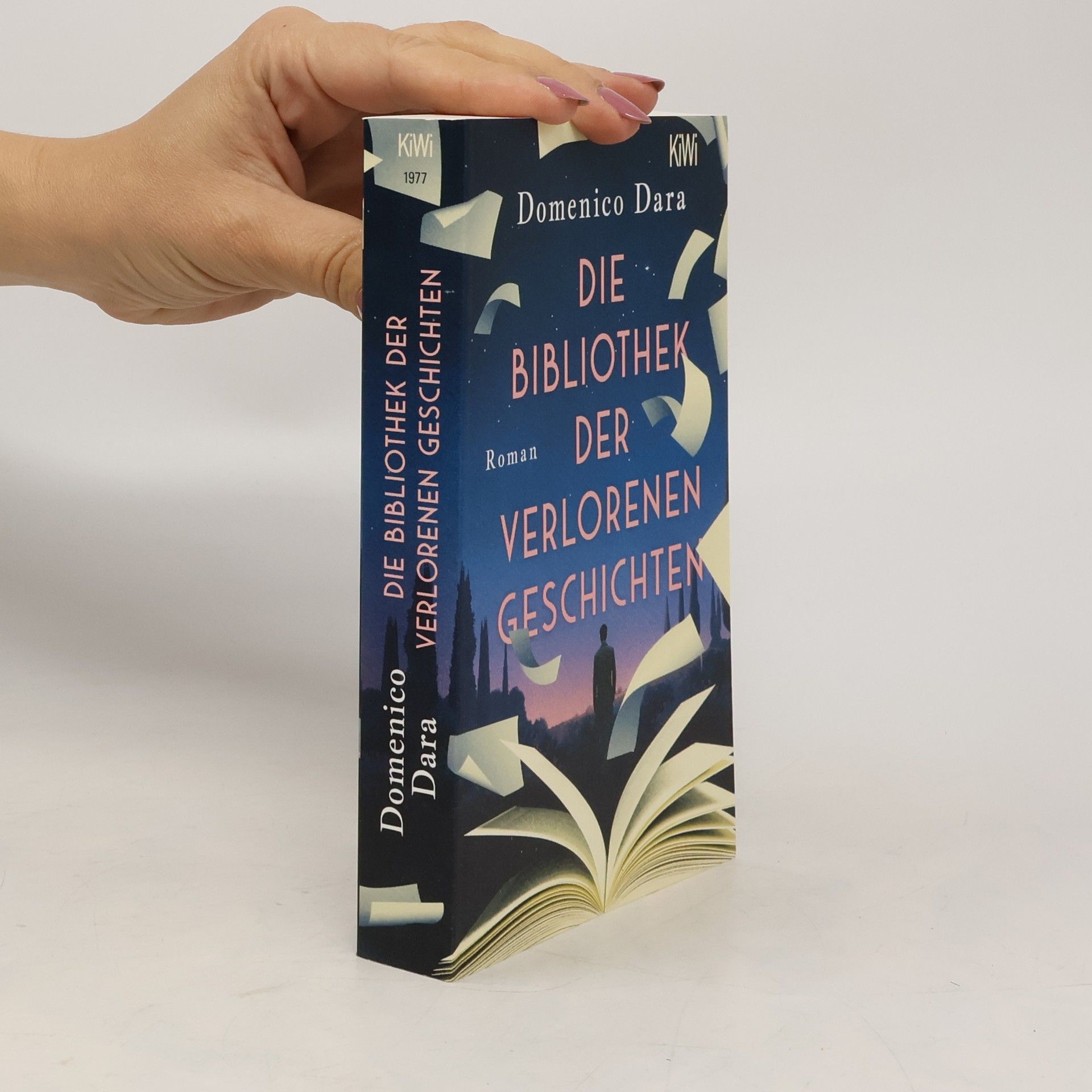 Domenico Dara Die Bibliothek der verlorenen Geschichten