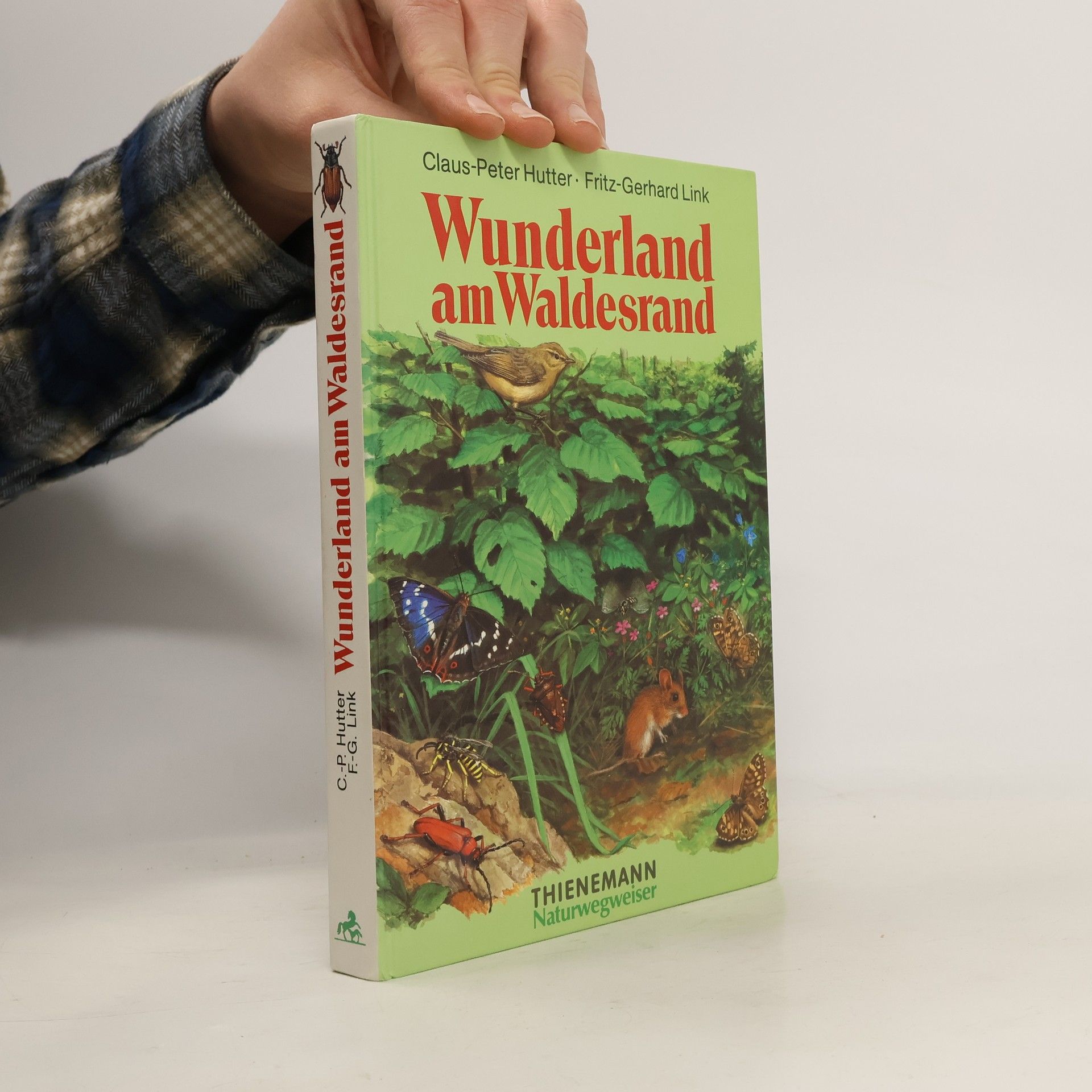 Claus-Peter Hutter Wunderland am Waldesrand