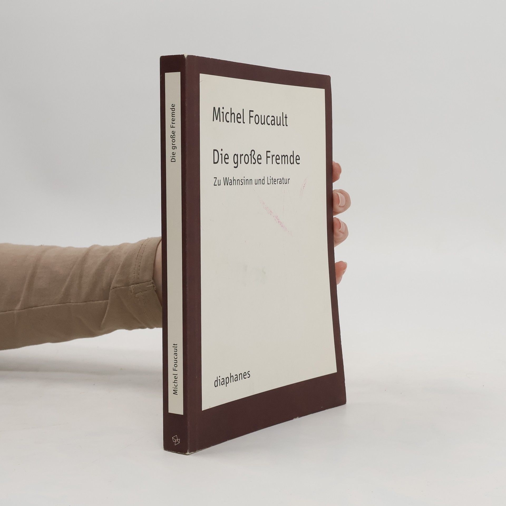 Michel Foucault Die große Fremde