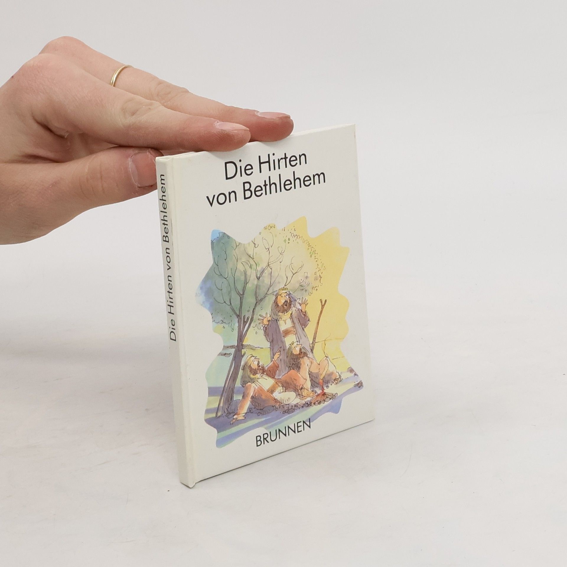 Collectif d'auteurs Die Hirten von Bethlehem Brunnen