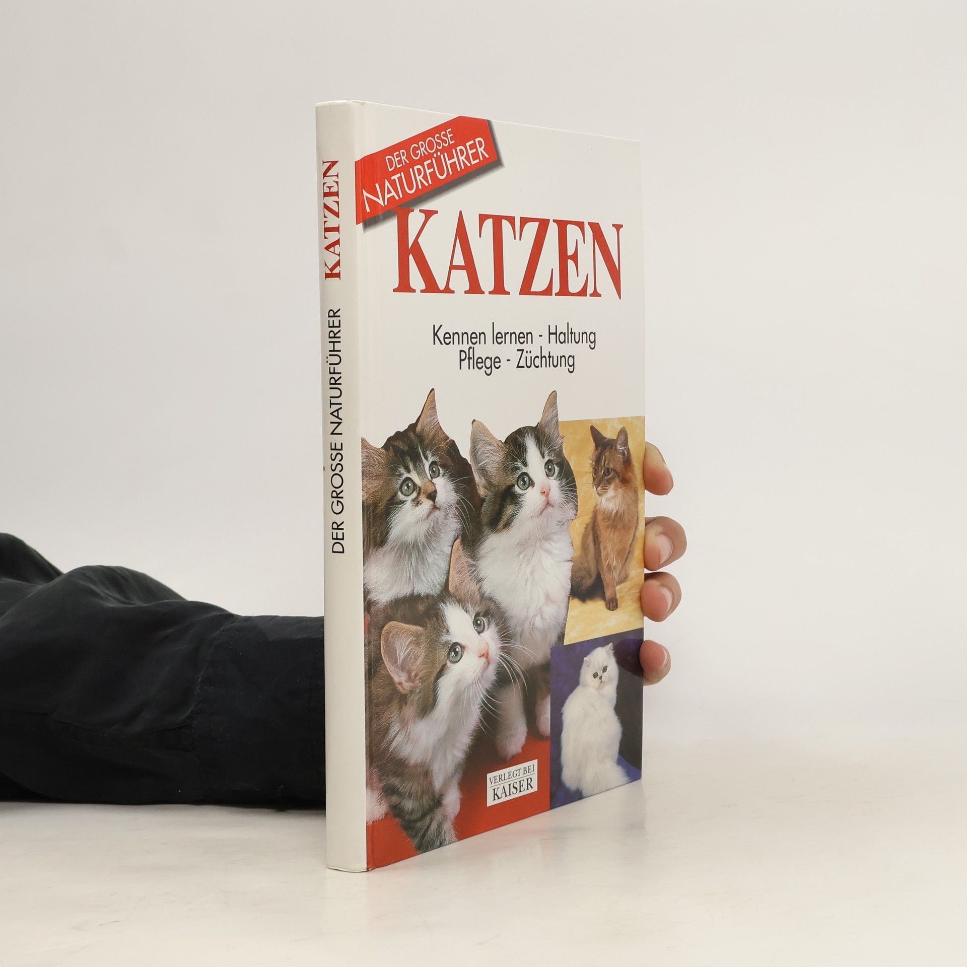 Autorenkollektiv Katzen. Kennen lernen, Haltung, Pflege, Züchtung