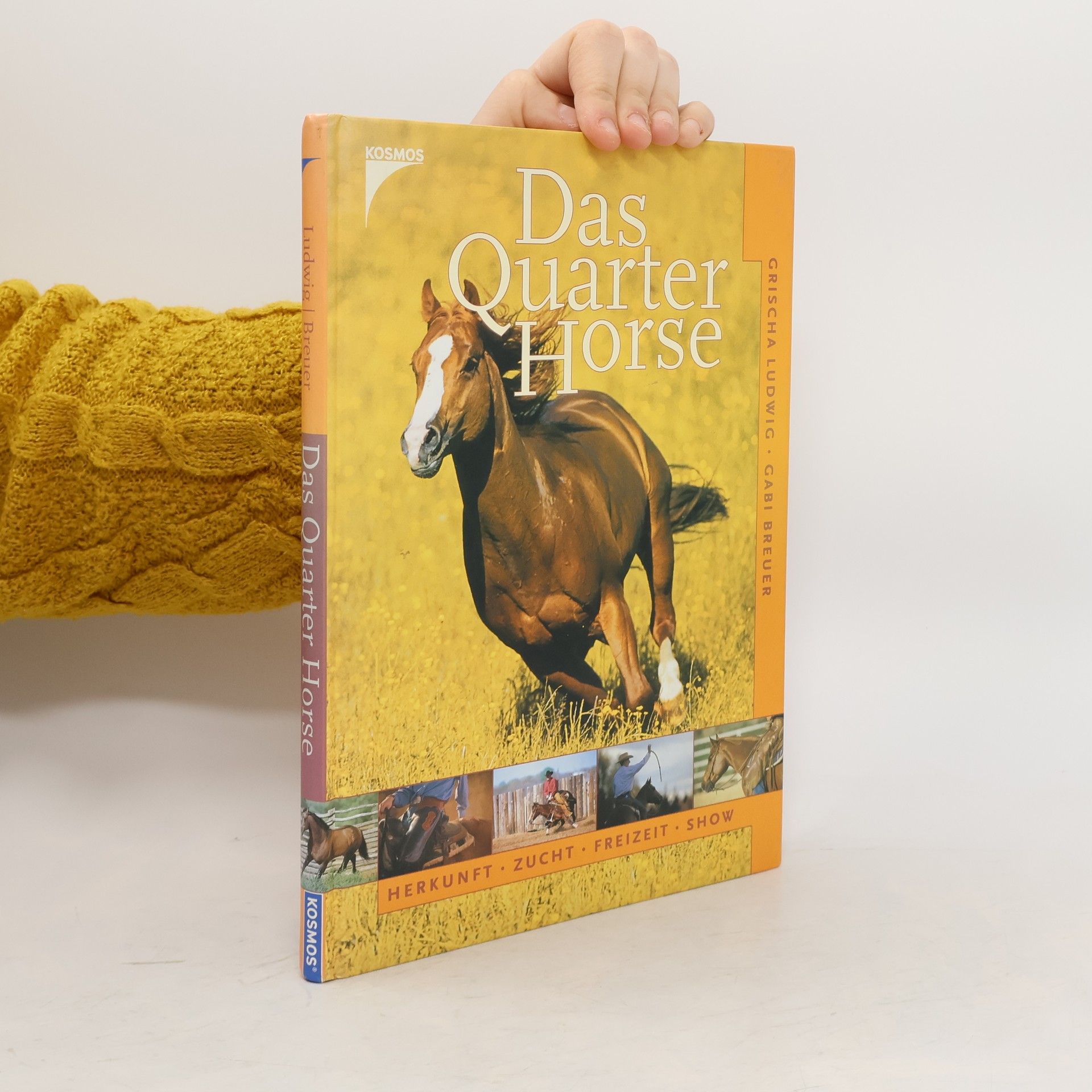 Grischa Ludwig Das Quarter Horse