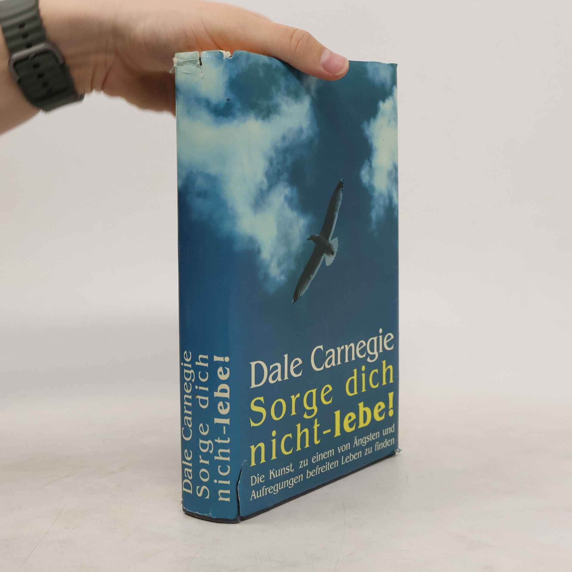 Dale Carnegie Sorge dich nicht-lebe!