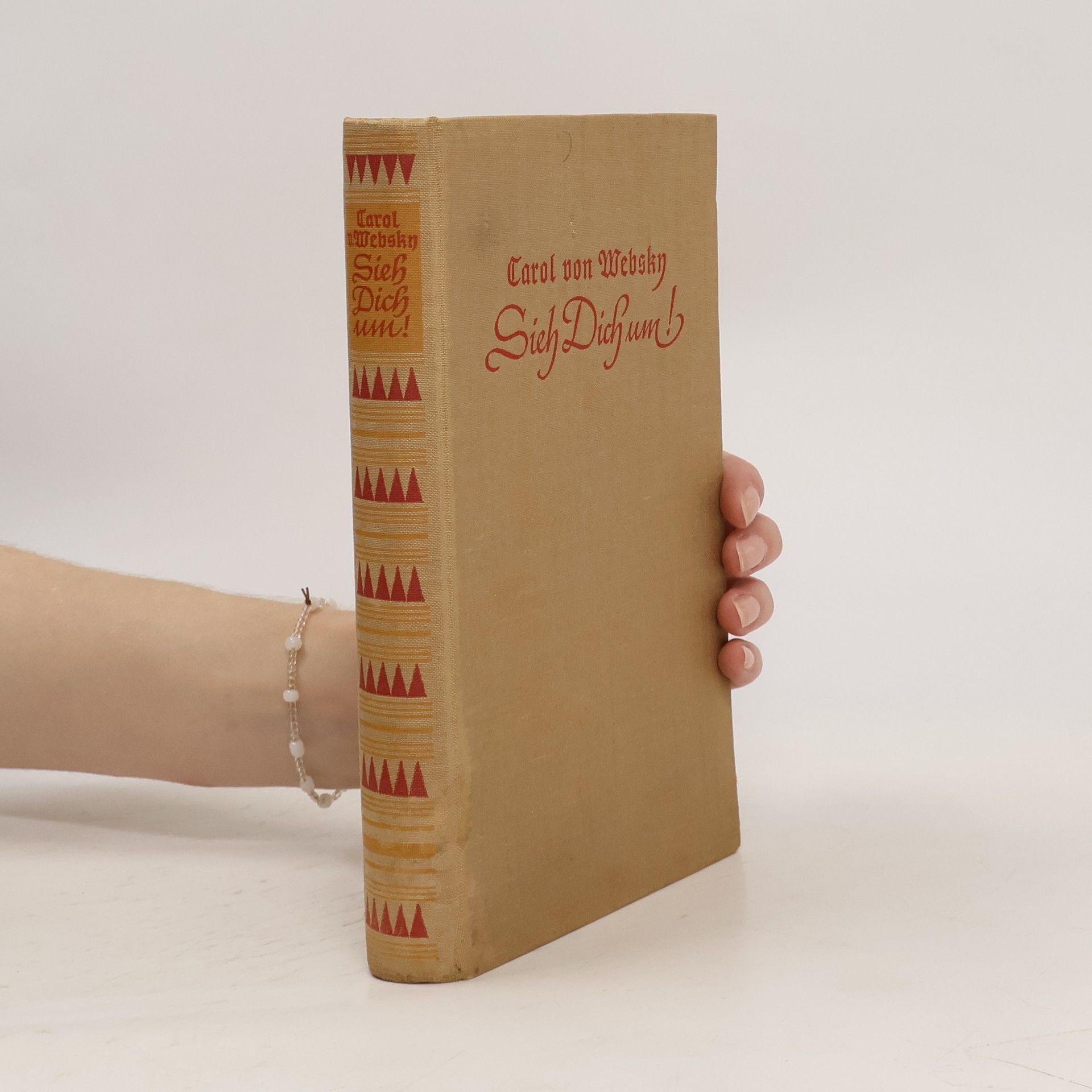 Carol von Websky Sieh Dich um!