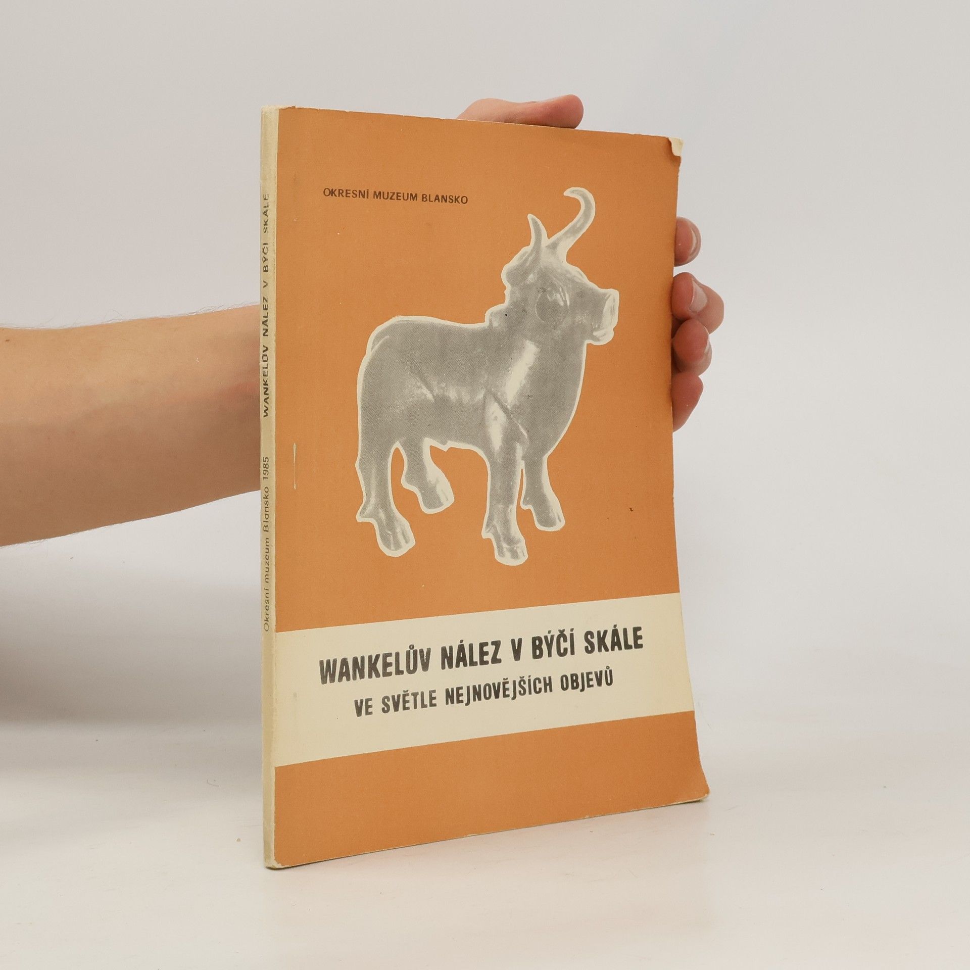 Kolektiv autorů Wankelův nález v Býčí skále ve světle nejnovějších objevů