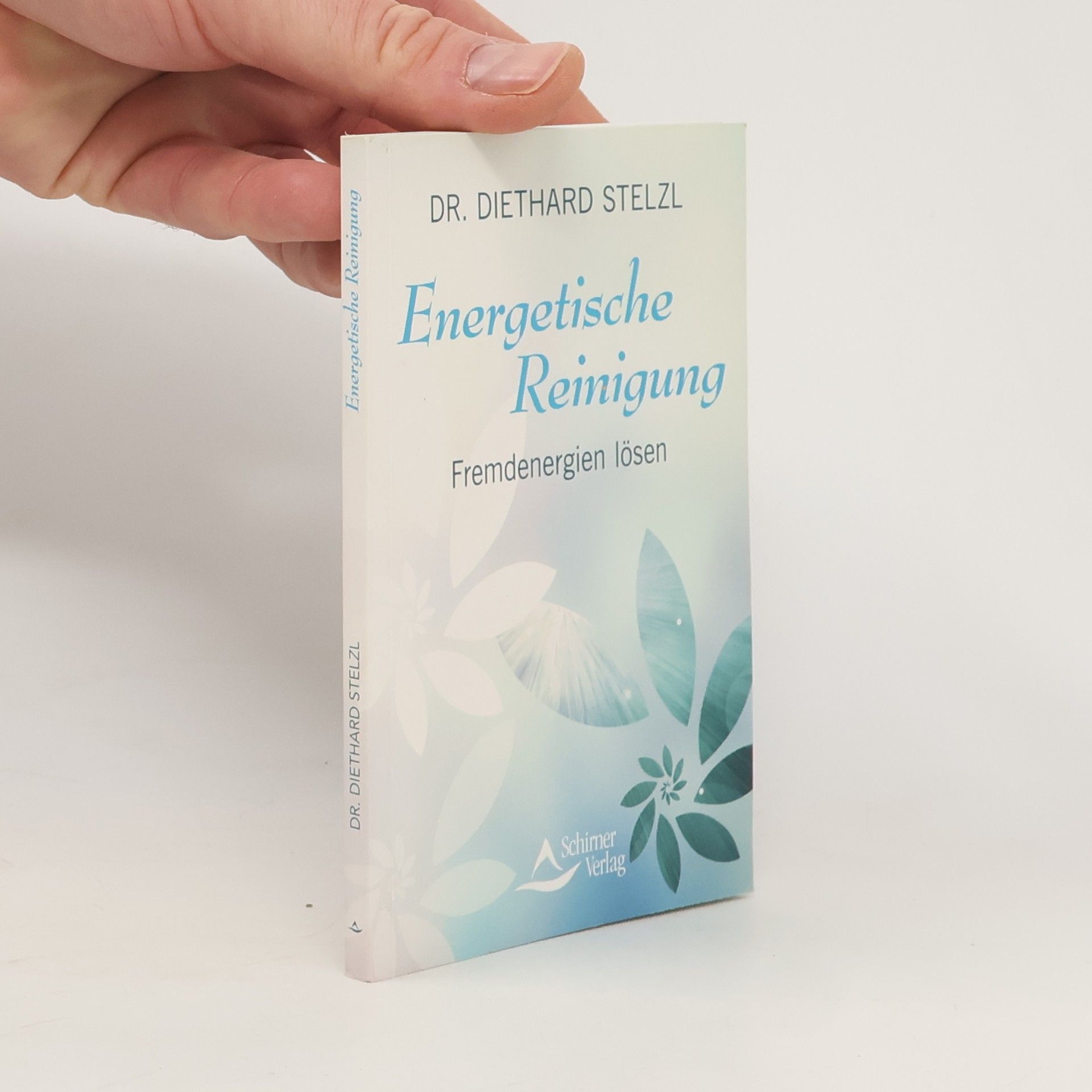 Diethard Stelzl Energetische Reinigung