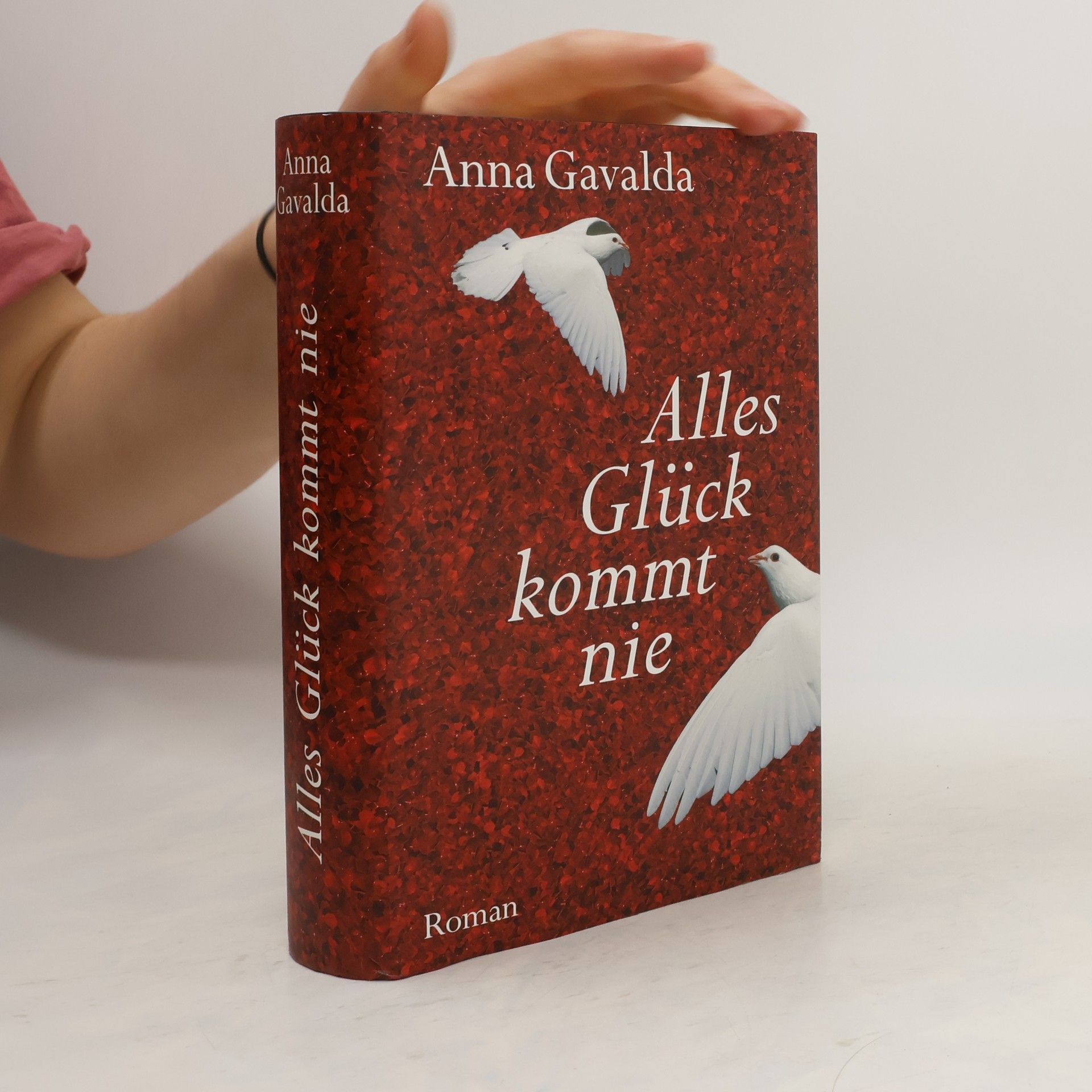 Anna Gavalda Alles Glück kommt nie