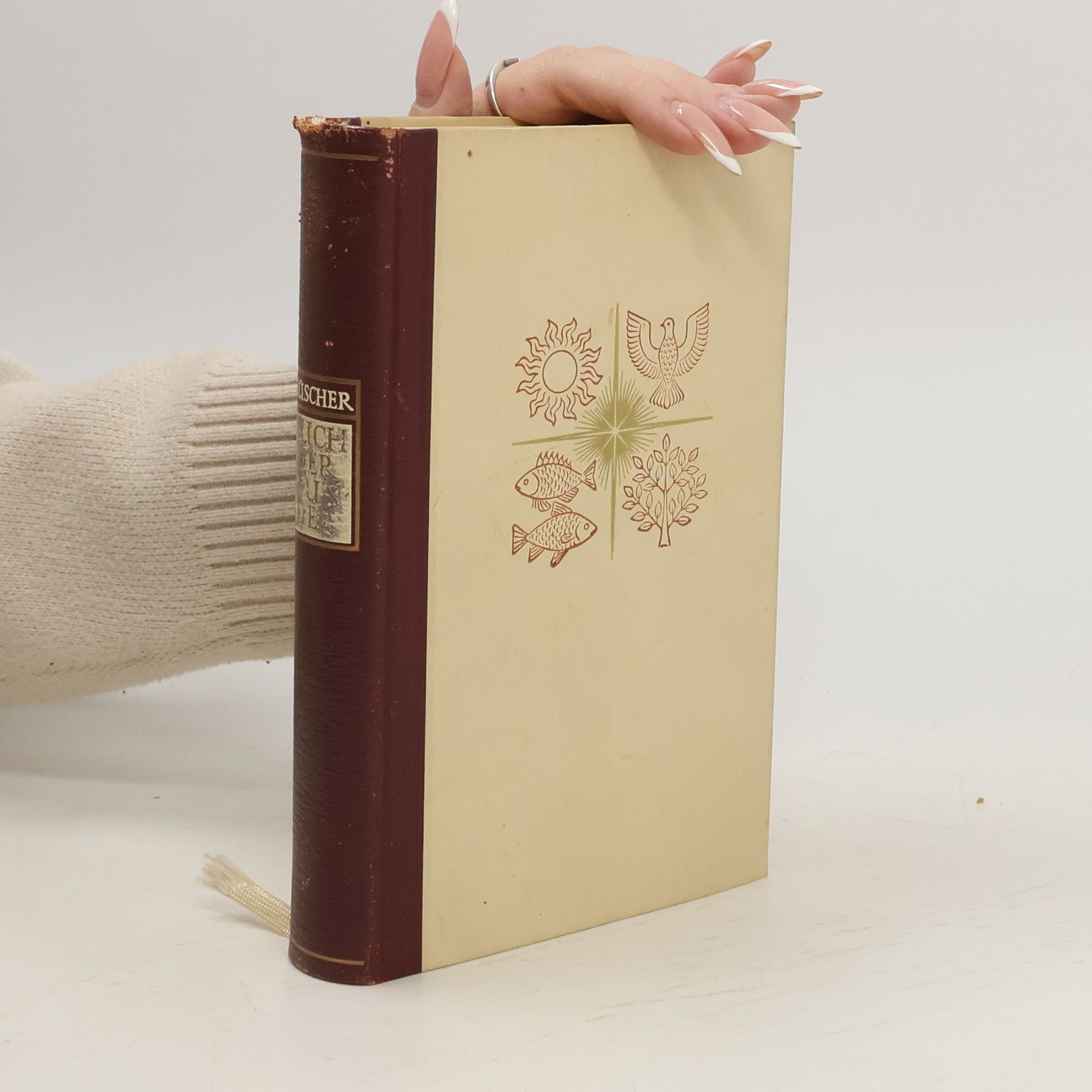 Gustav Büscher Buch der Wunder