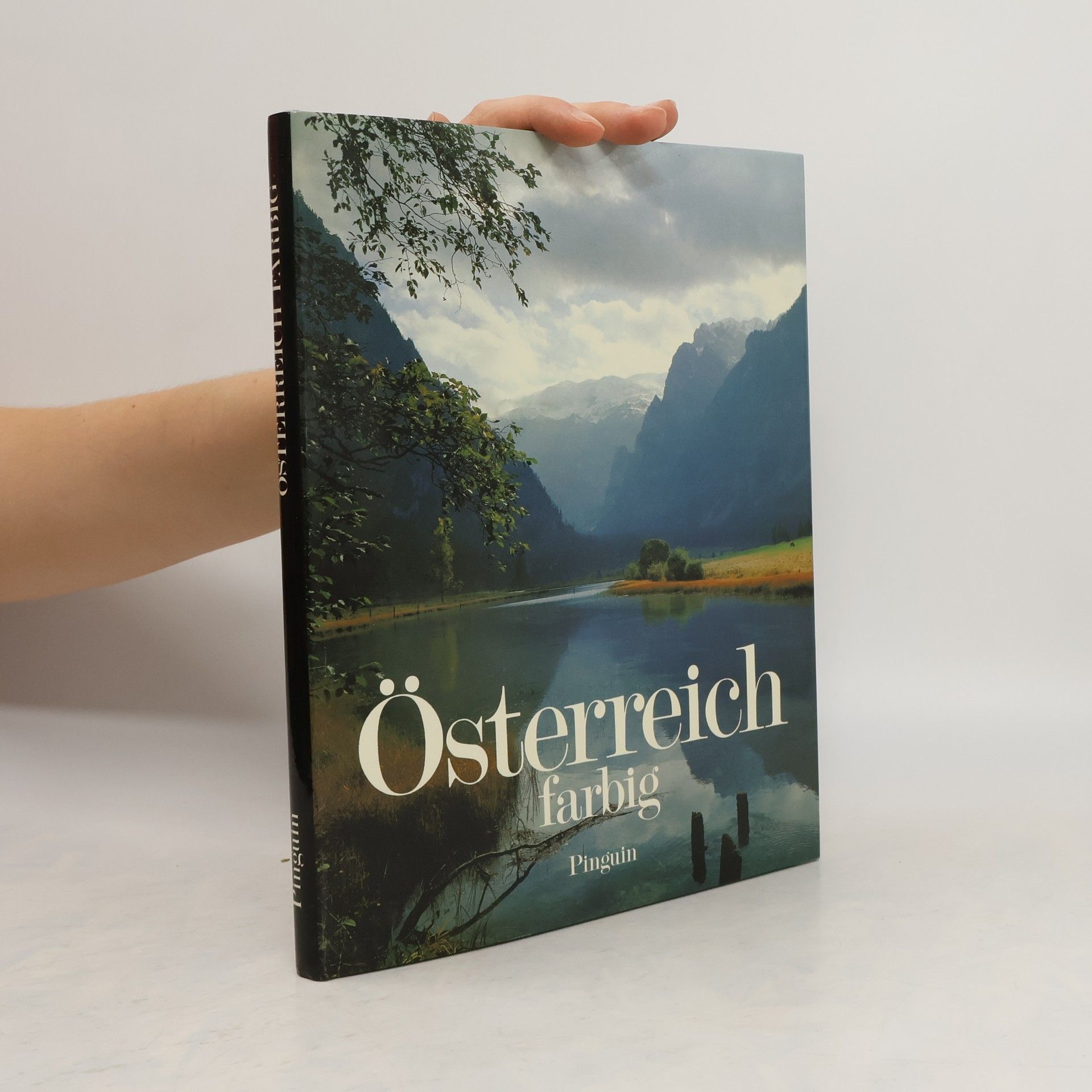 Autorenkollektiv Österreich farbig
