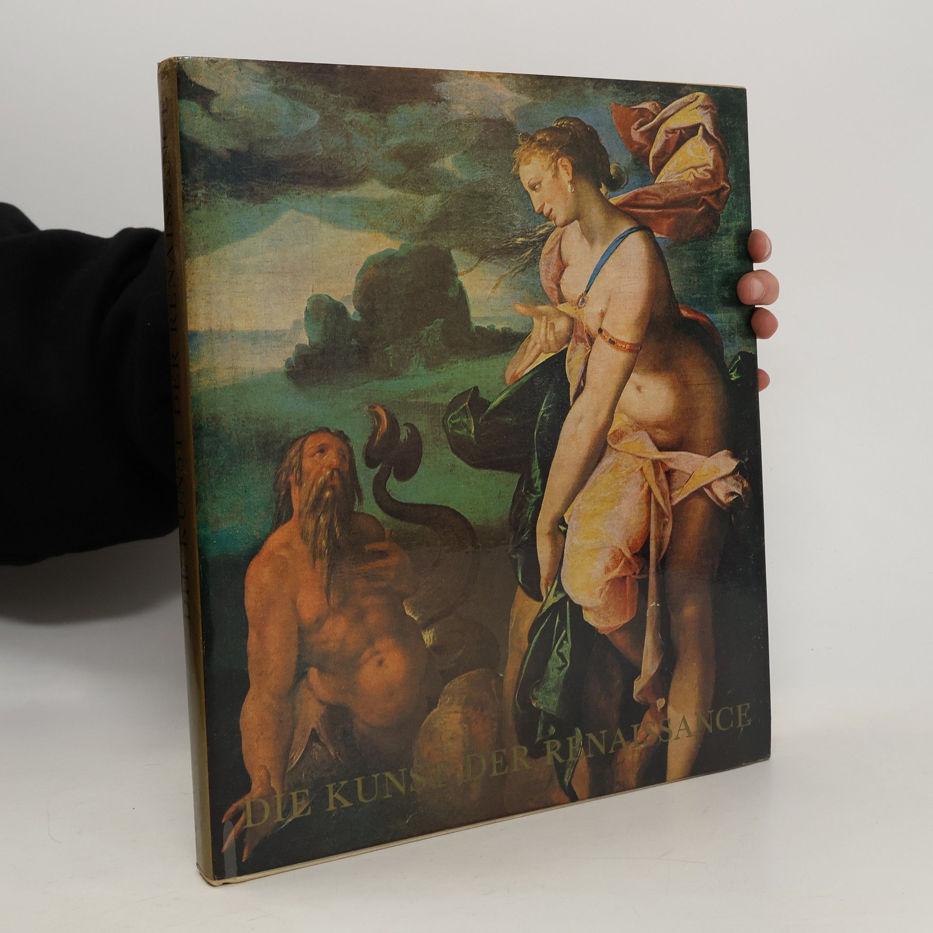 Autorenkollektiv Die Kunst der Renaissance und des Manierismus in Böhmen