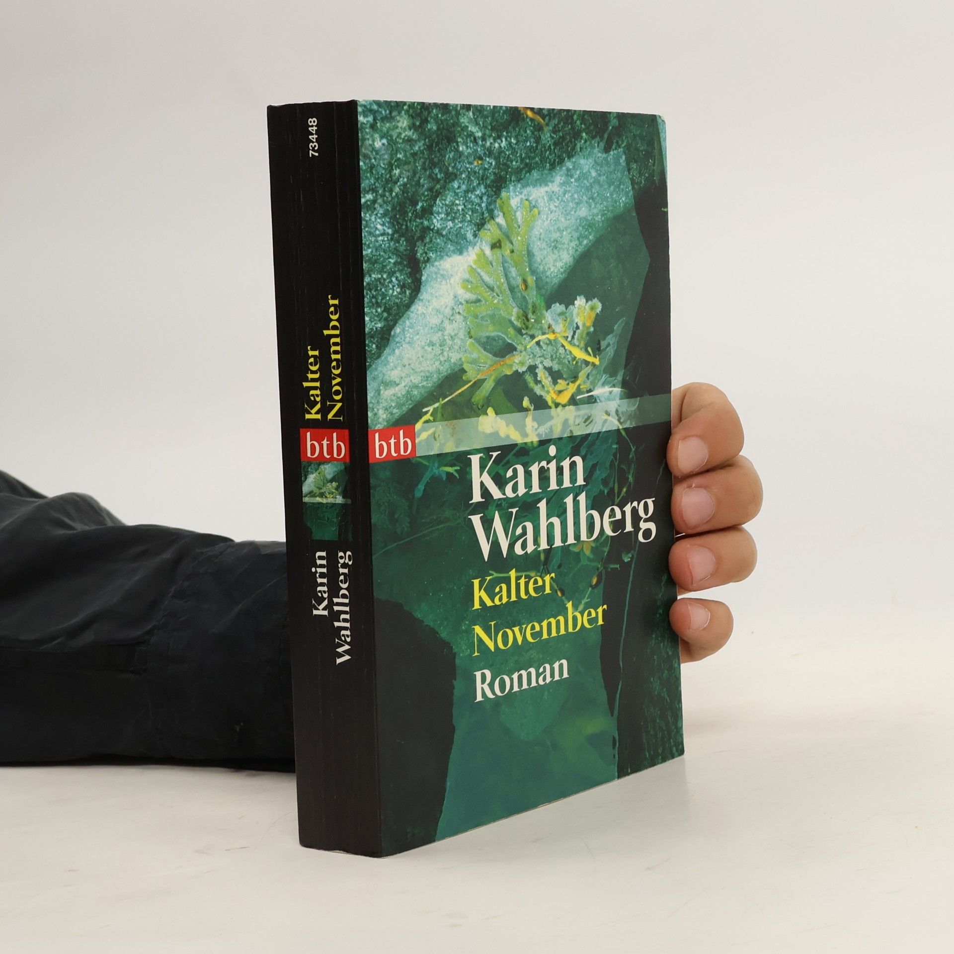 Karin Wahlberg Kalter November. Roman