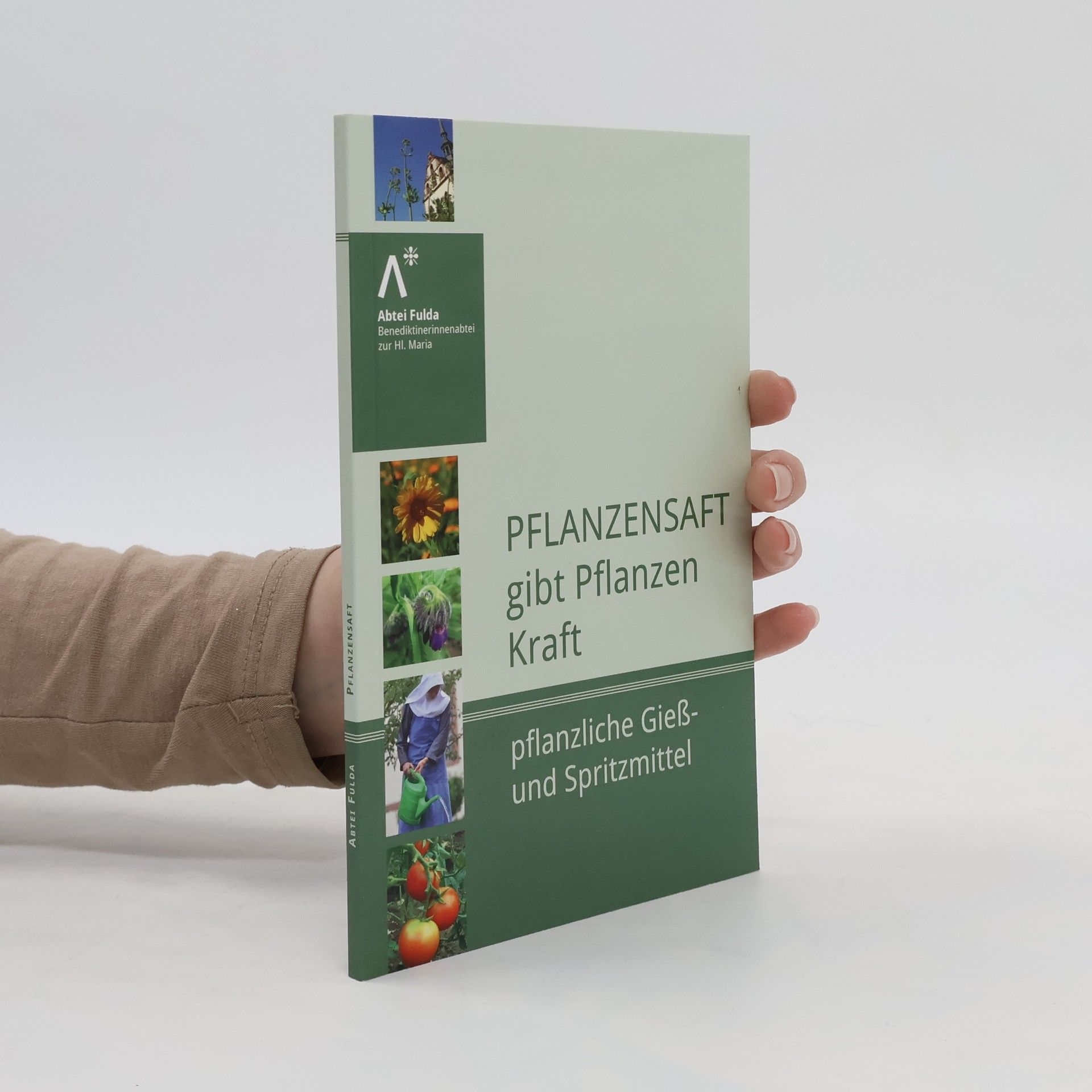 Autorenkollektiv Pflanzensaft gibt Pflanzen Kraft
