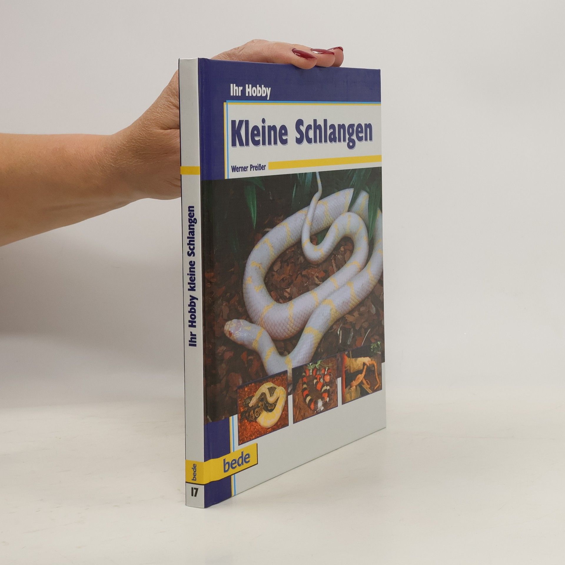 Werner Preißer Kleine Schlangen erfolgreich pflegen