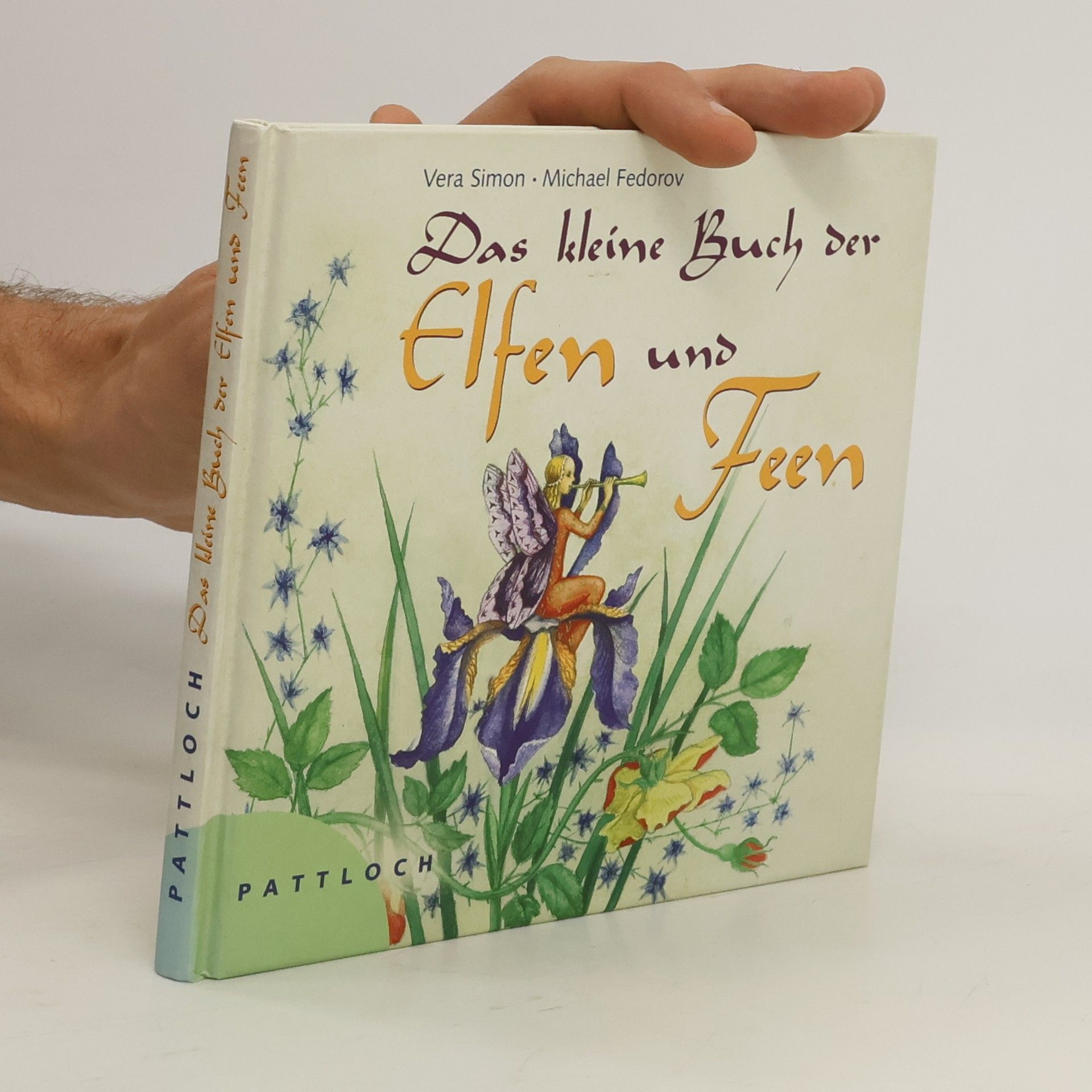 Vera Simon Das kleine Buch der Elfen und Feen