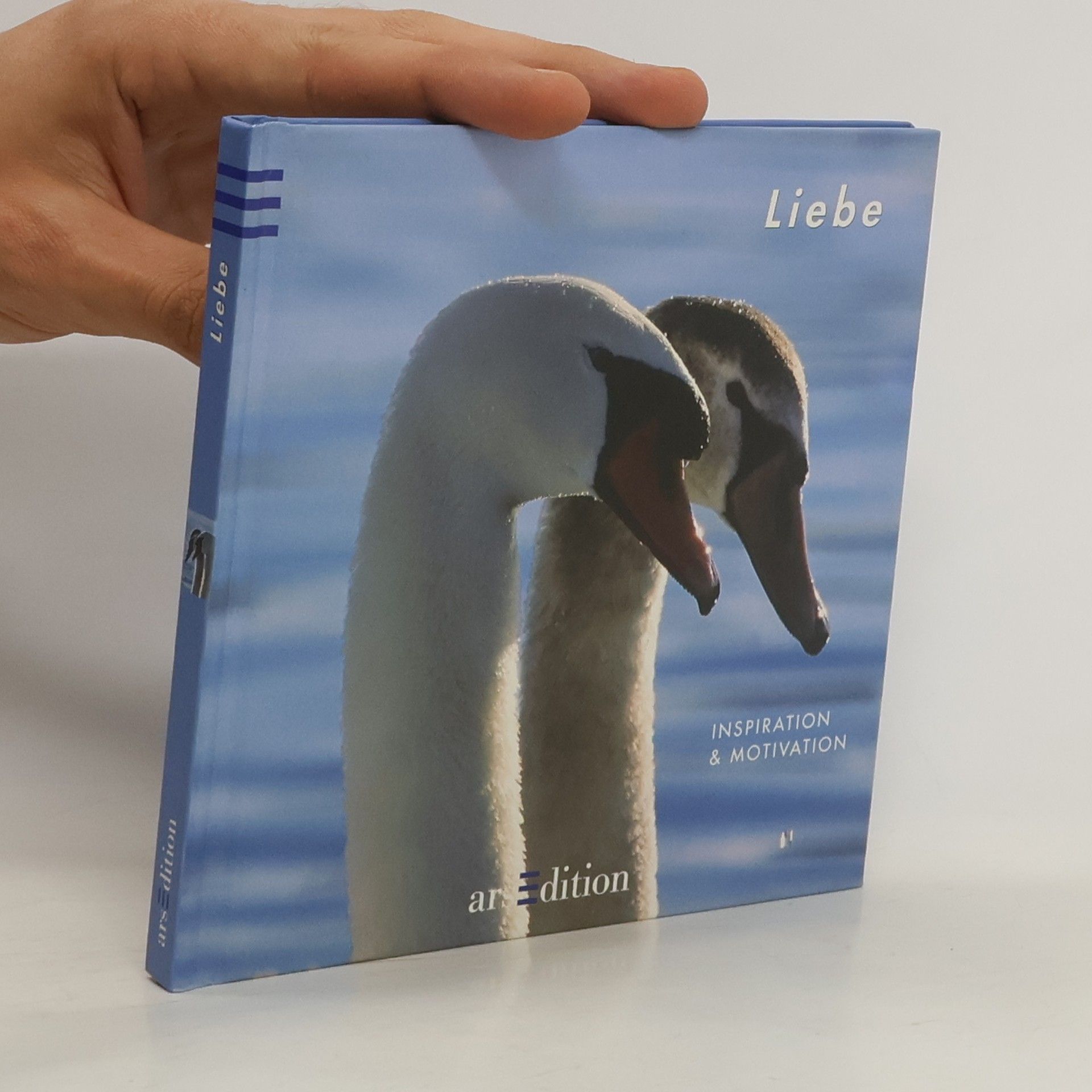 Petra Bachmann Liebe