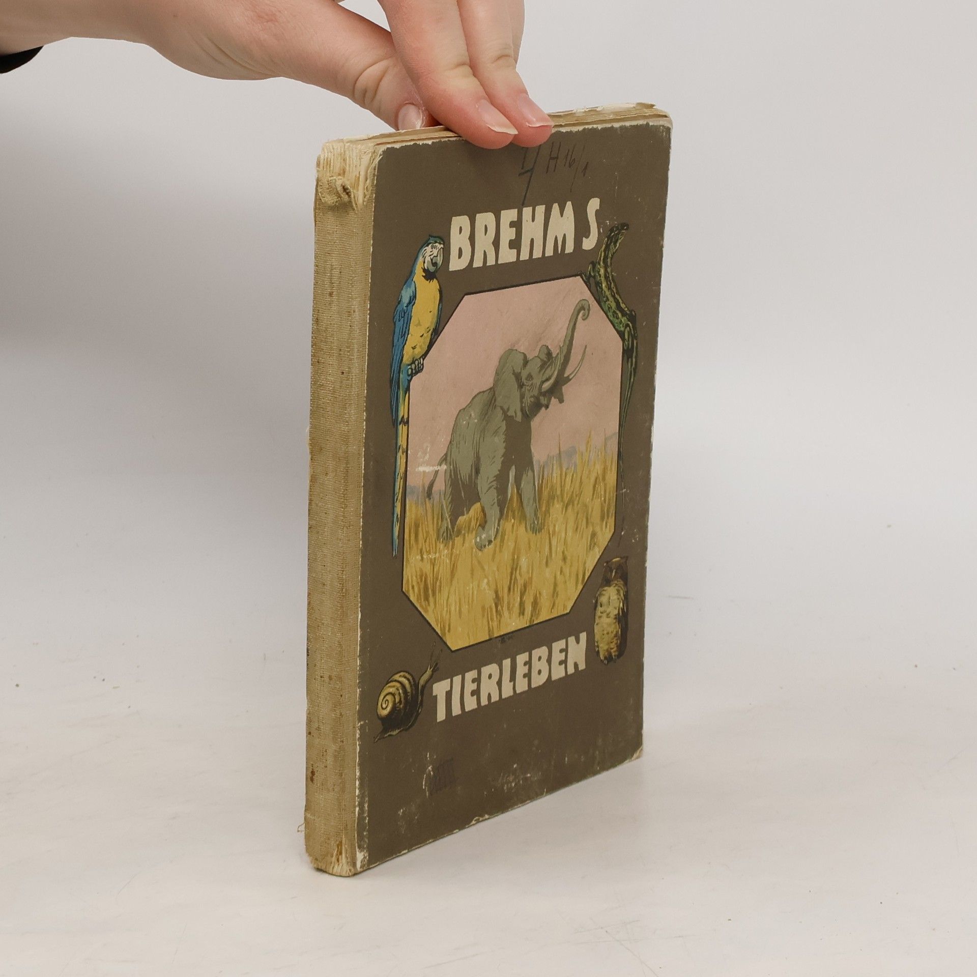 AA.VV. Brehms Tierleben II.