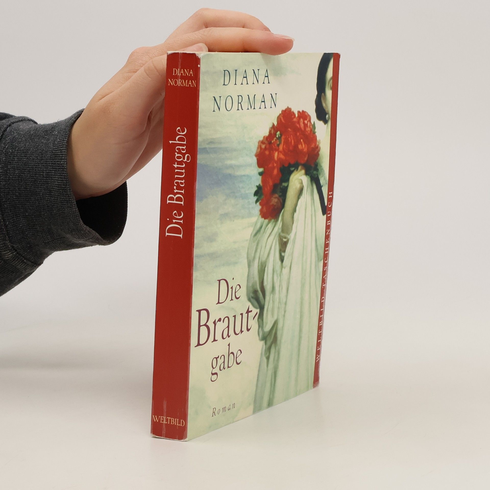 Diana Norman Die Brautgabe