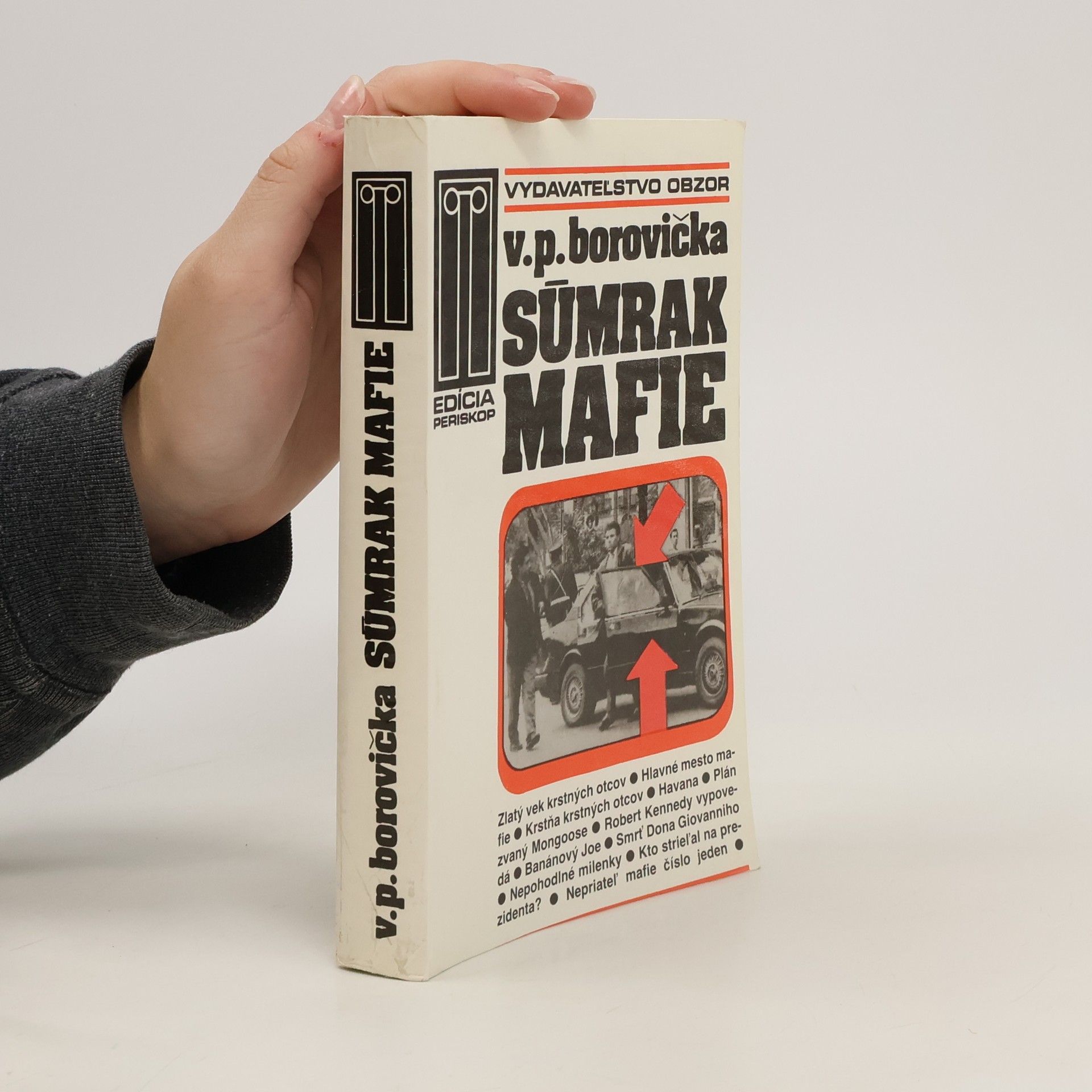 Václav Pavel Borovička Súmrak mafie