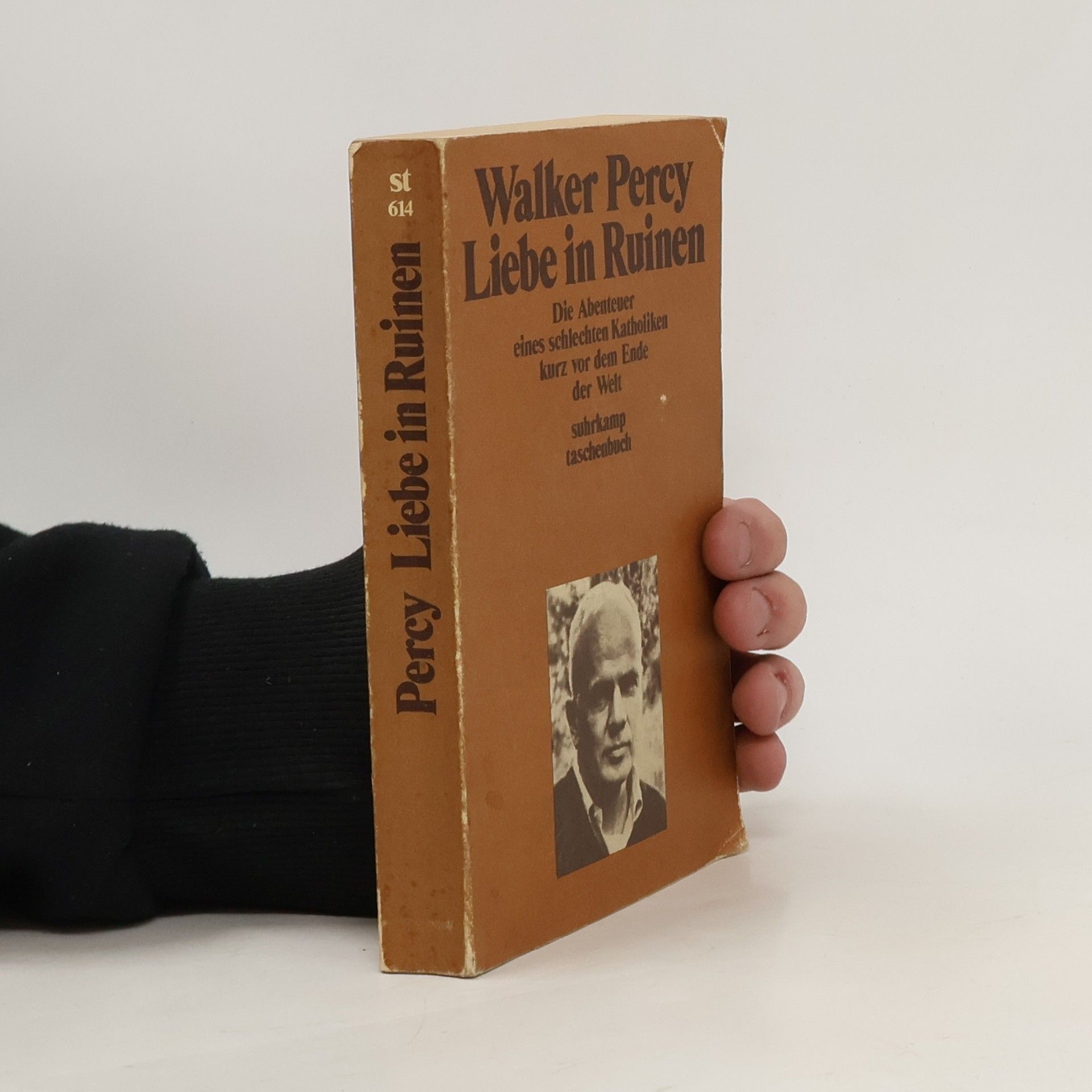 Walker Percy Liebe in Ruinen