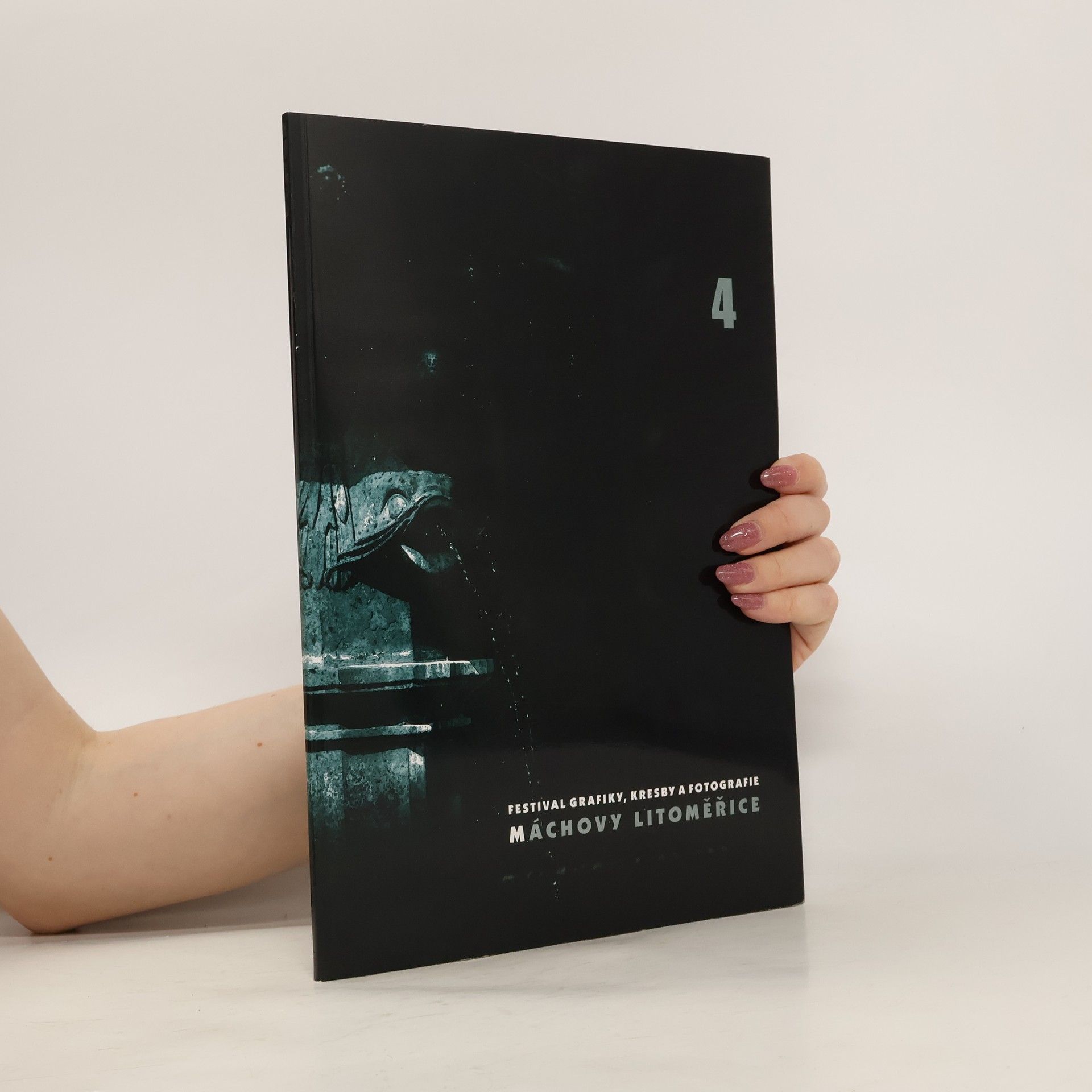kolektiv Máchovy Litoměřice 4. Festival grafiky, kresby a fotografie