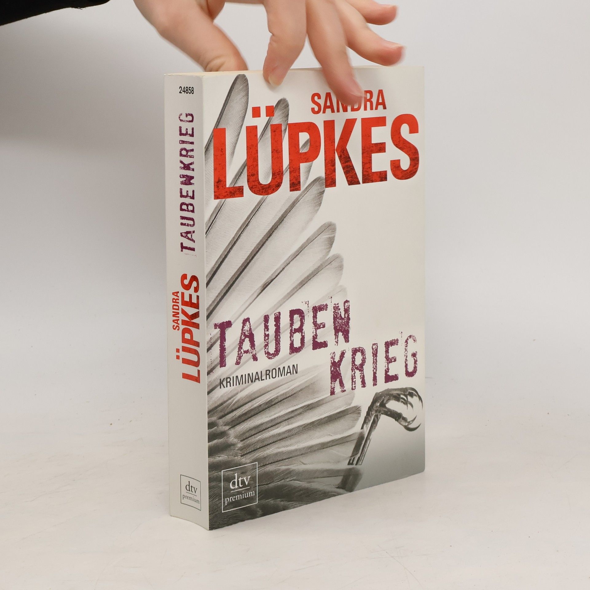 Sandra Lüpkes Taubenkrieg