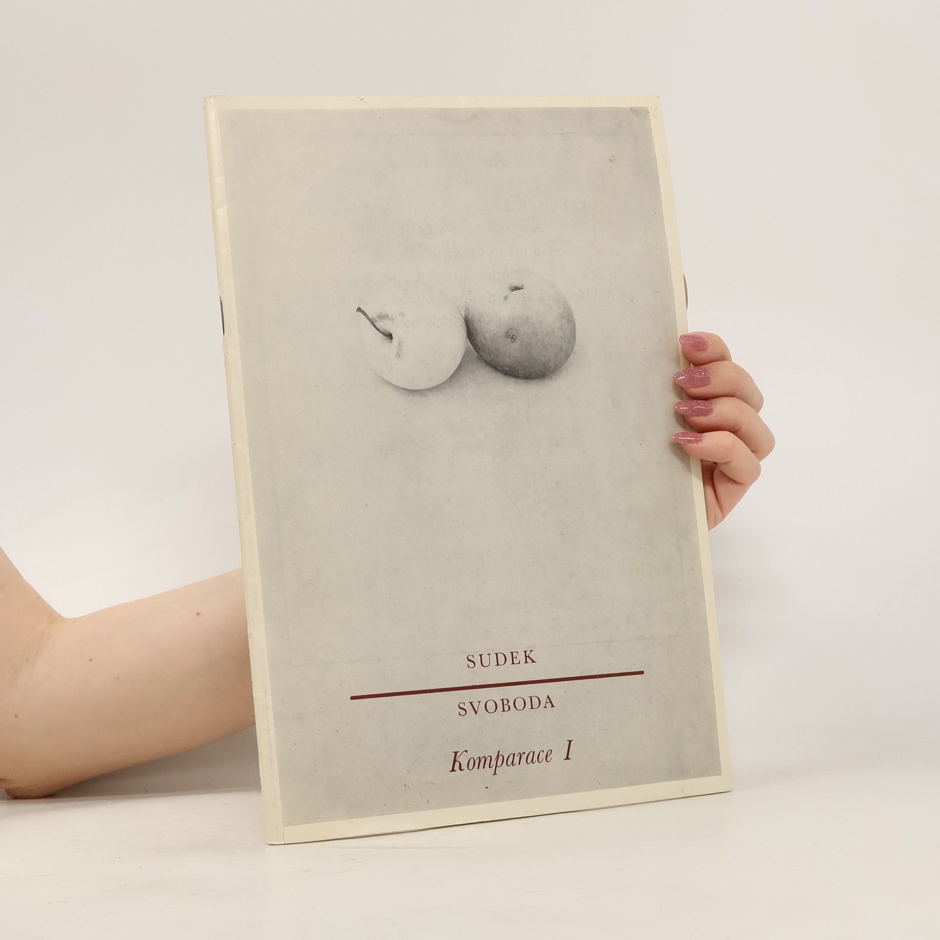 Kolektív autorov Komparace I. Sudek. Svoboda