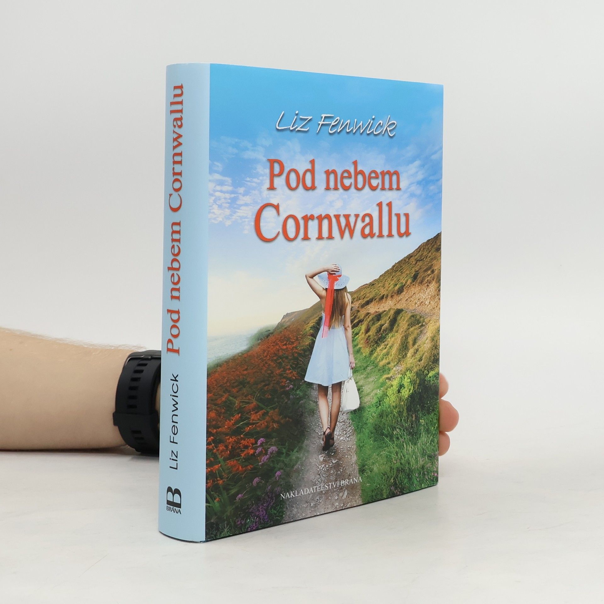 Liz Fenwick Pod nebem Cornwallu