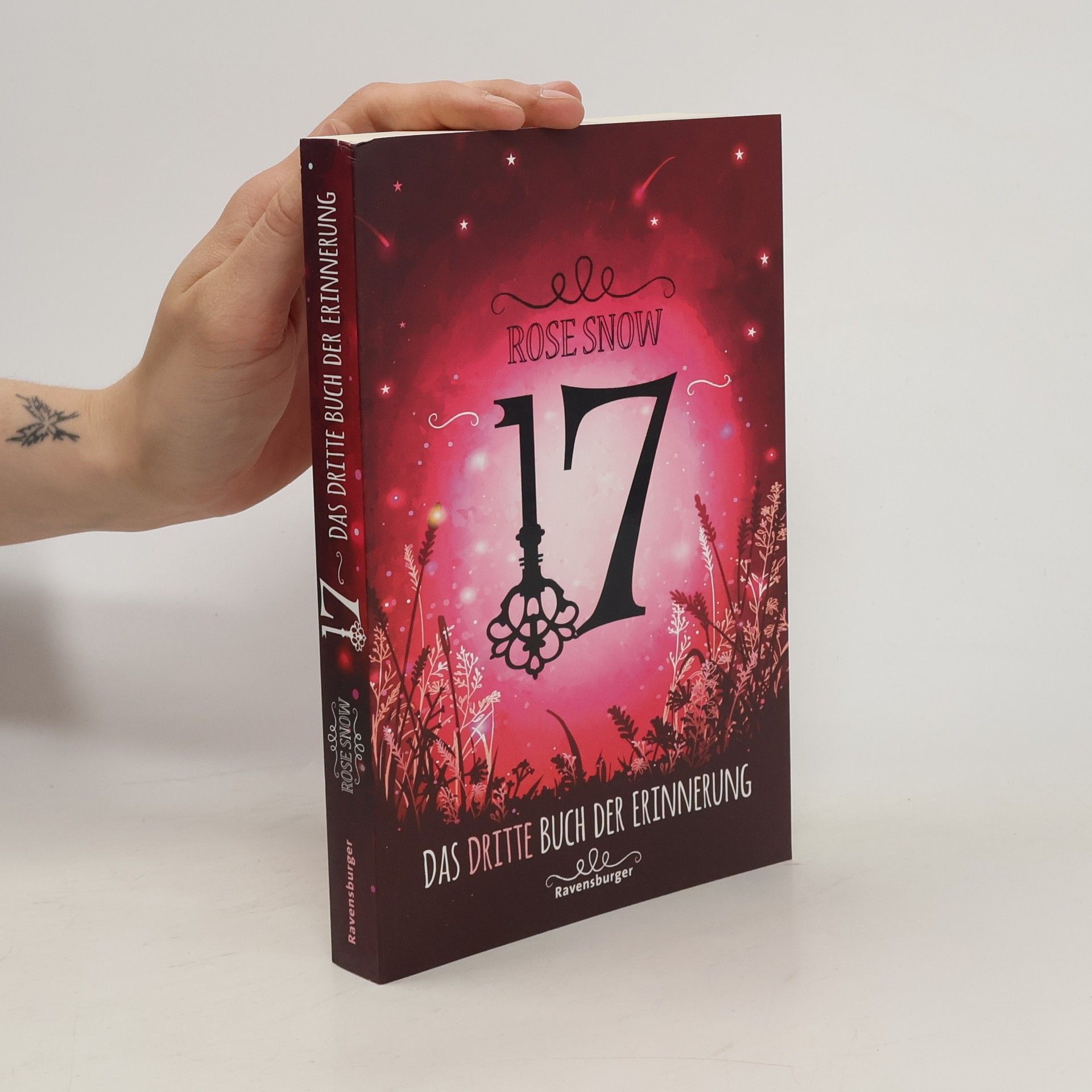 Rosie Snow 17: Das dritte Buch der Erinnerung