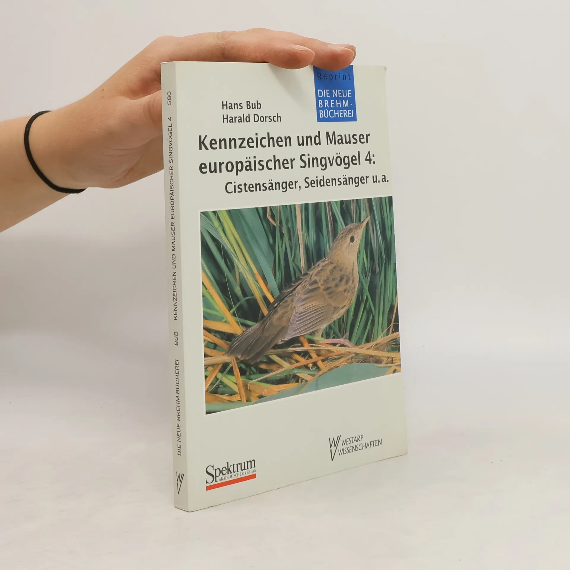 Kennzeichen und Mauser europäischer Singvögel | Buch | Hans Bub