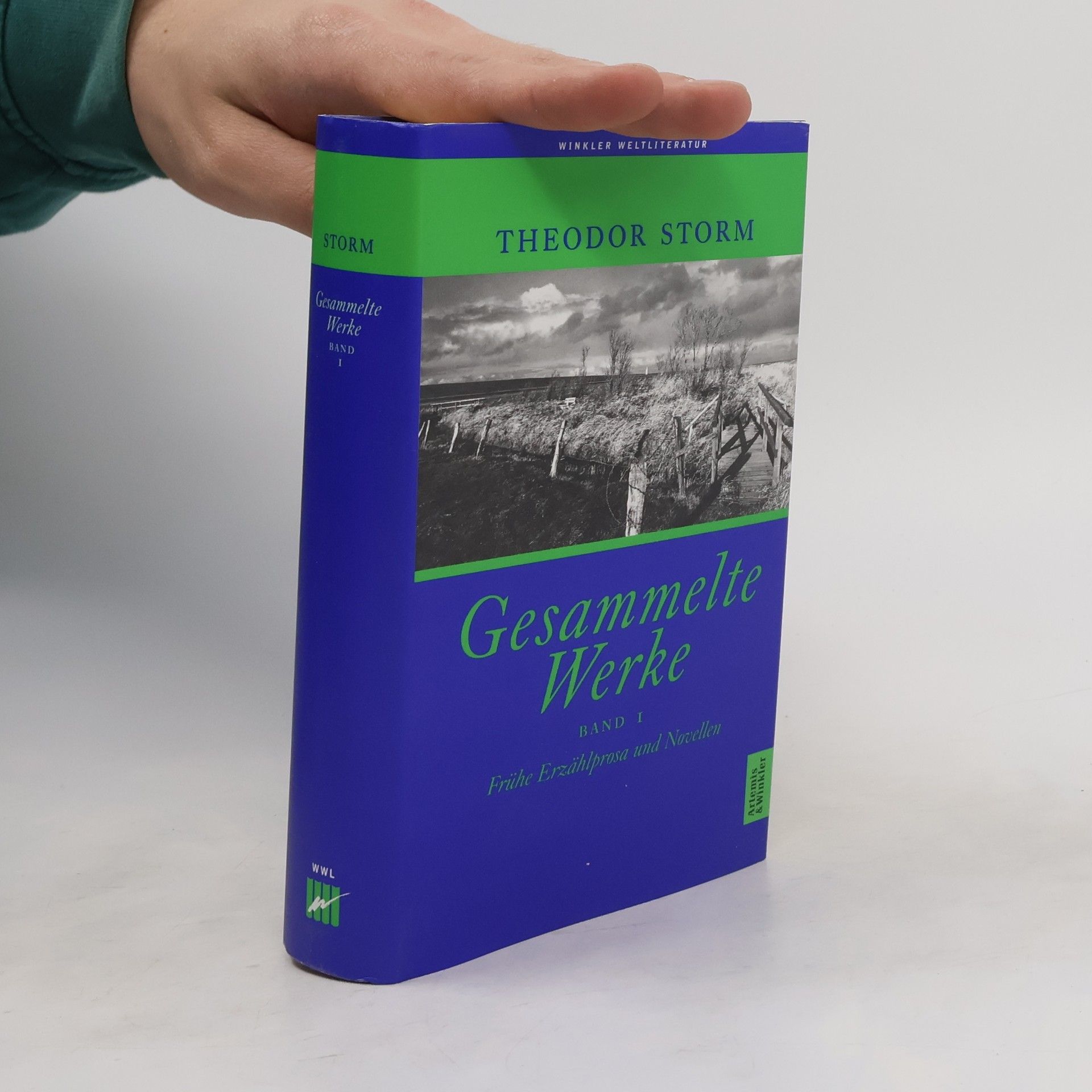 Theodor Storm Gesammelte Werke in zwei Bänden. Band 1